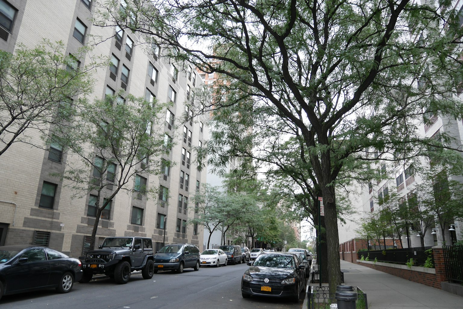 Quiet street scene surrounded by green trees