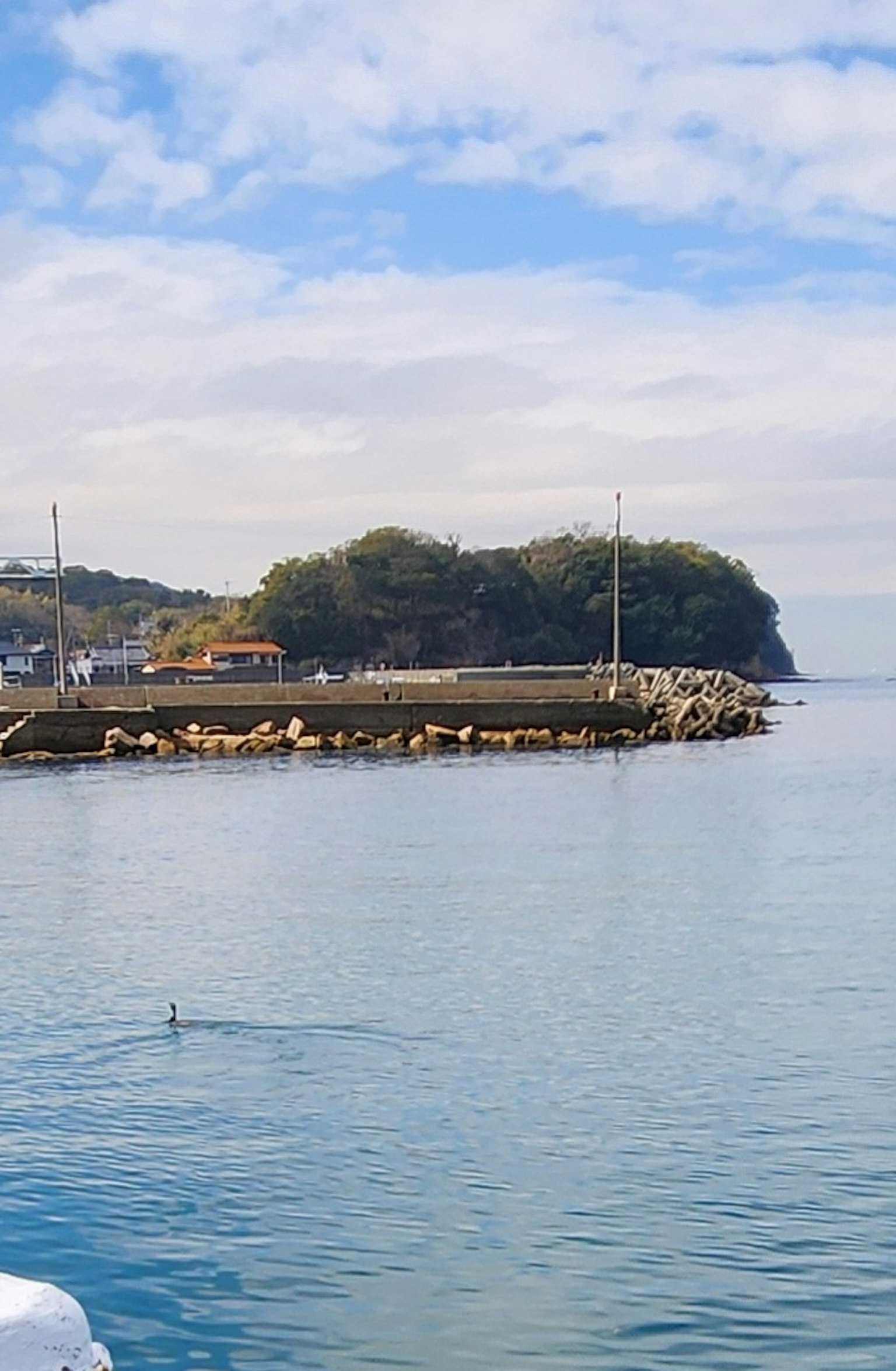 Vue sur la mer calme avec un quai et une île verdoyante en arrière-plan