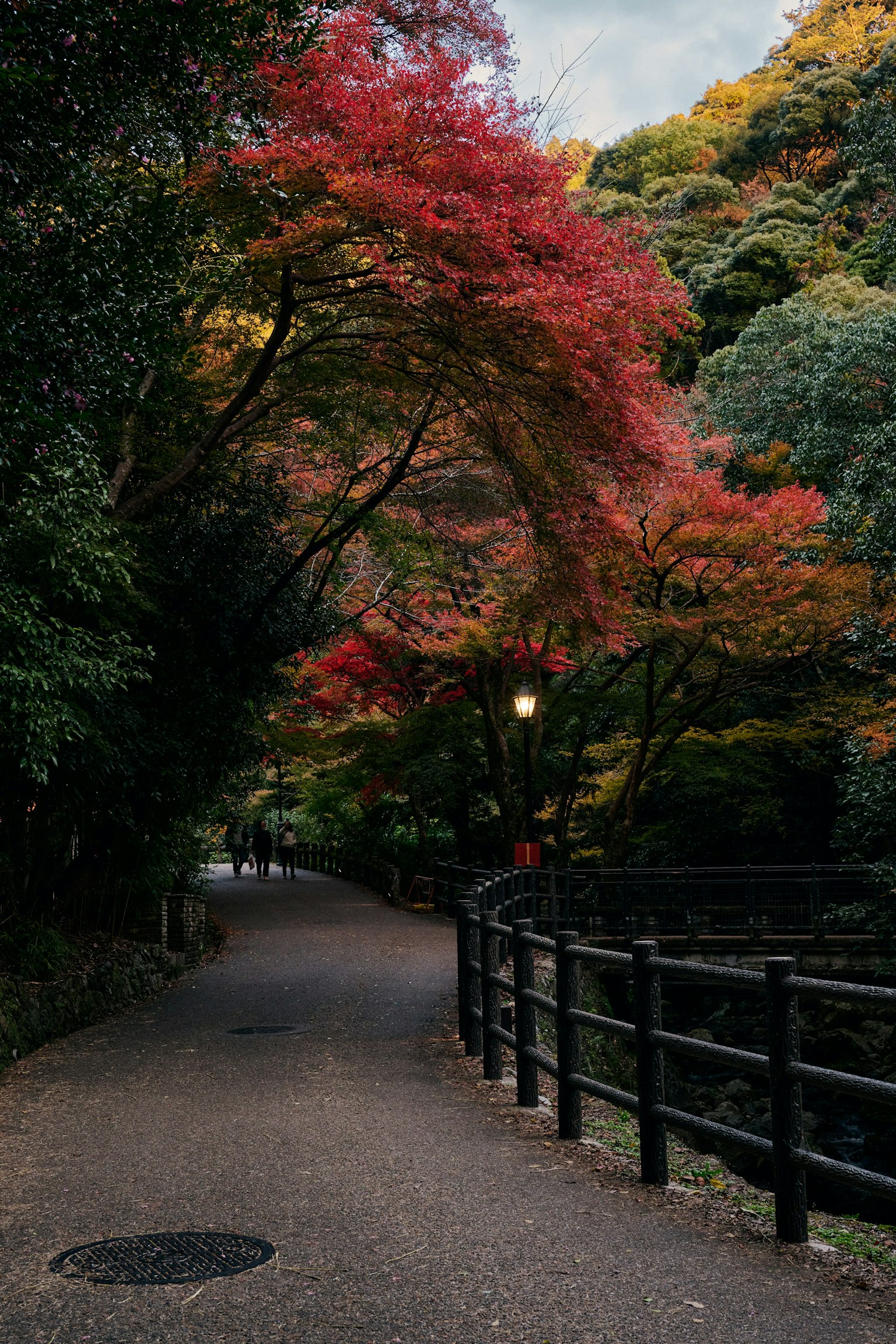 一条宁静的小路,周围环绕着五彩斑斓的秋叶