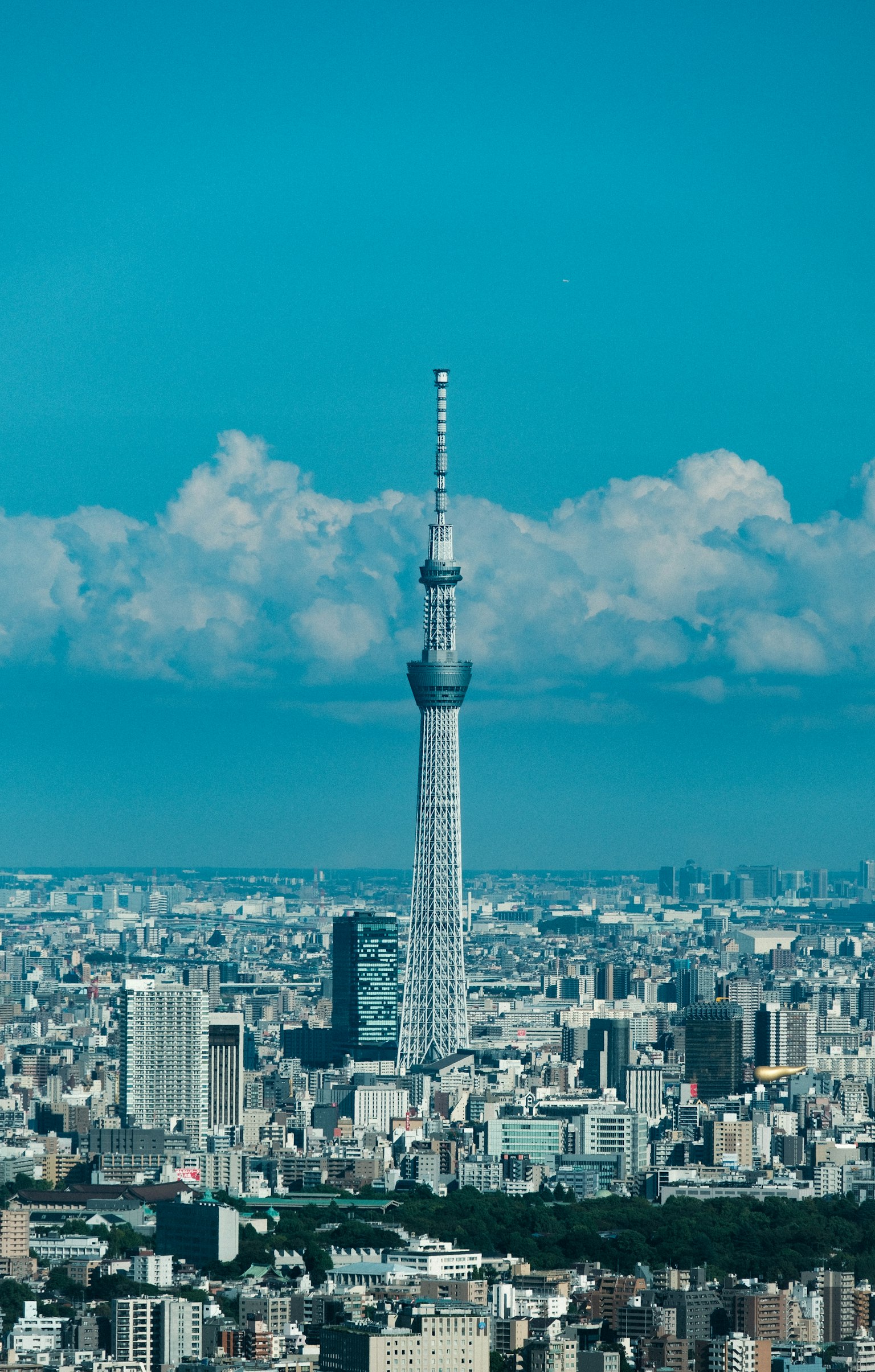 東京晴空下的城市景觀中的東京天空樹