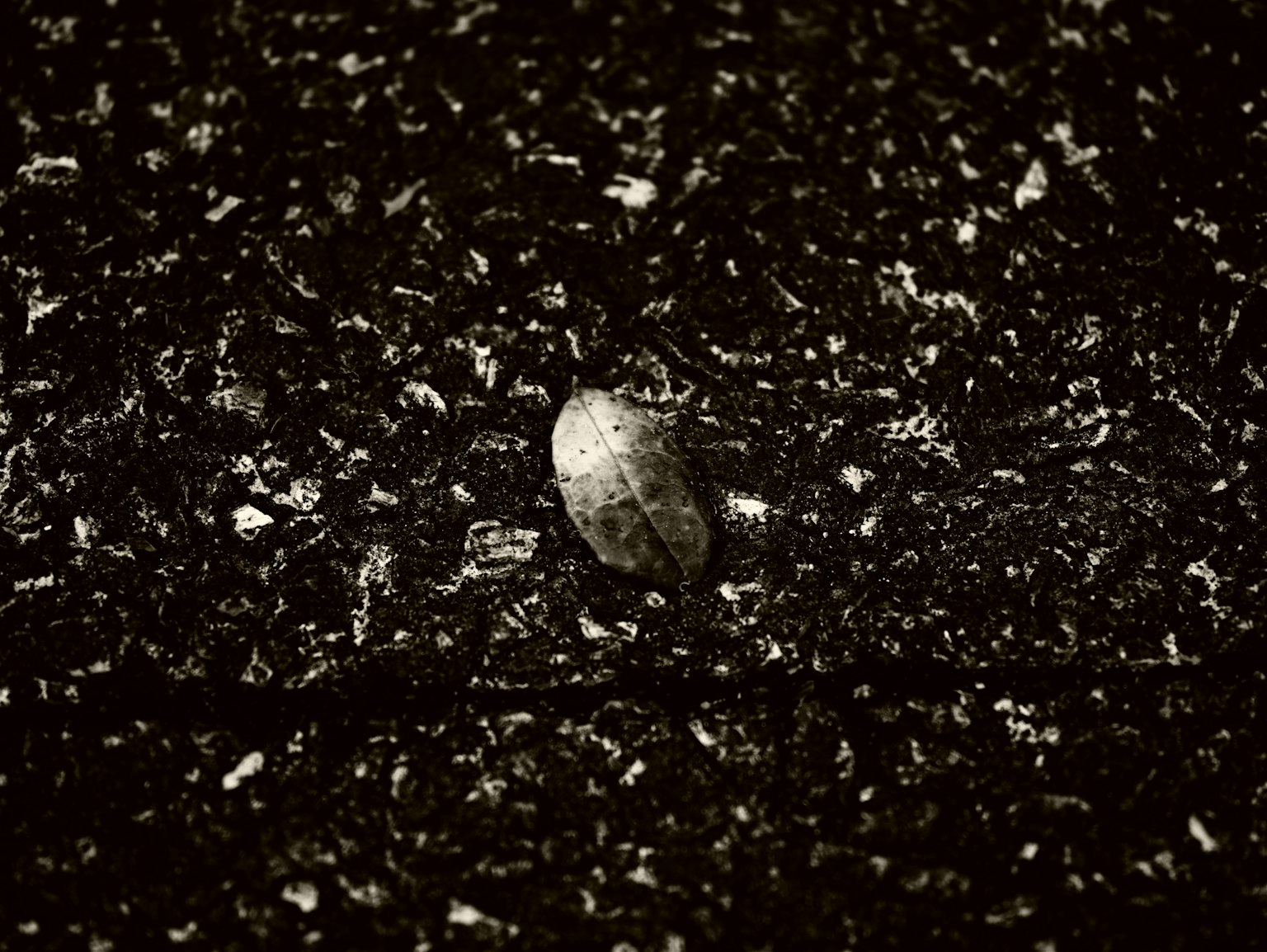 黑色背景上漂浮著白色顆粒的小光亮物體