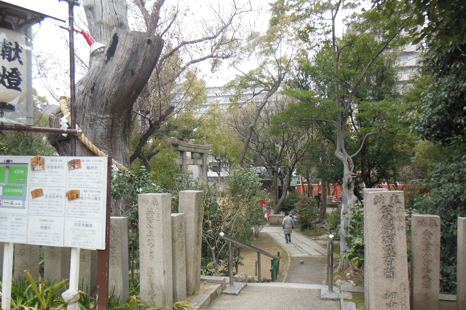Treppenaufgang zu einem Park mit einem Schild üppiges Grün und natürliche Landschaft