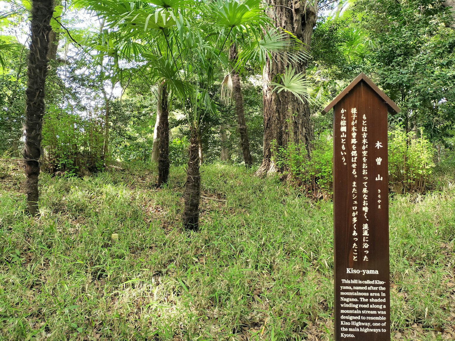 Pannello informativo in una foresta con alberi verdi