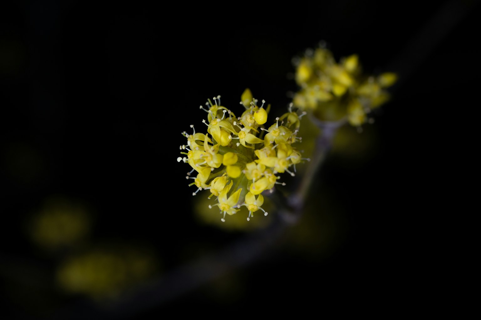 photo-oWIFpPALr8QkBVtLe7ld-image