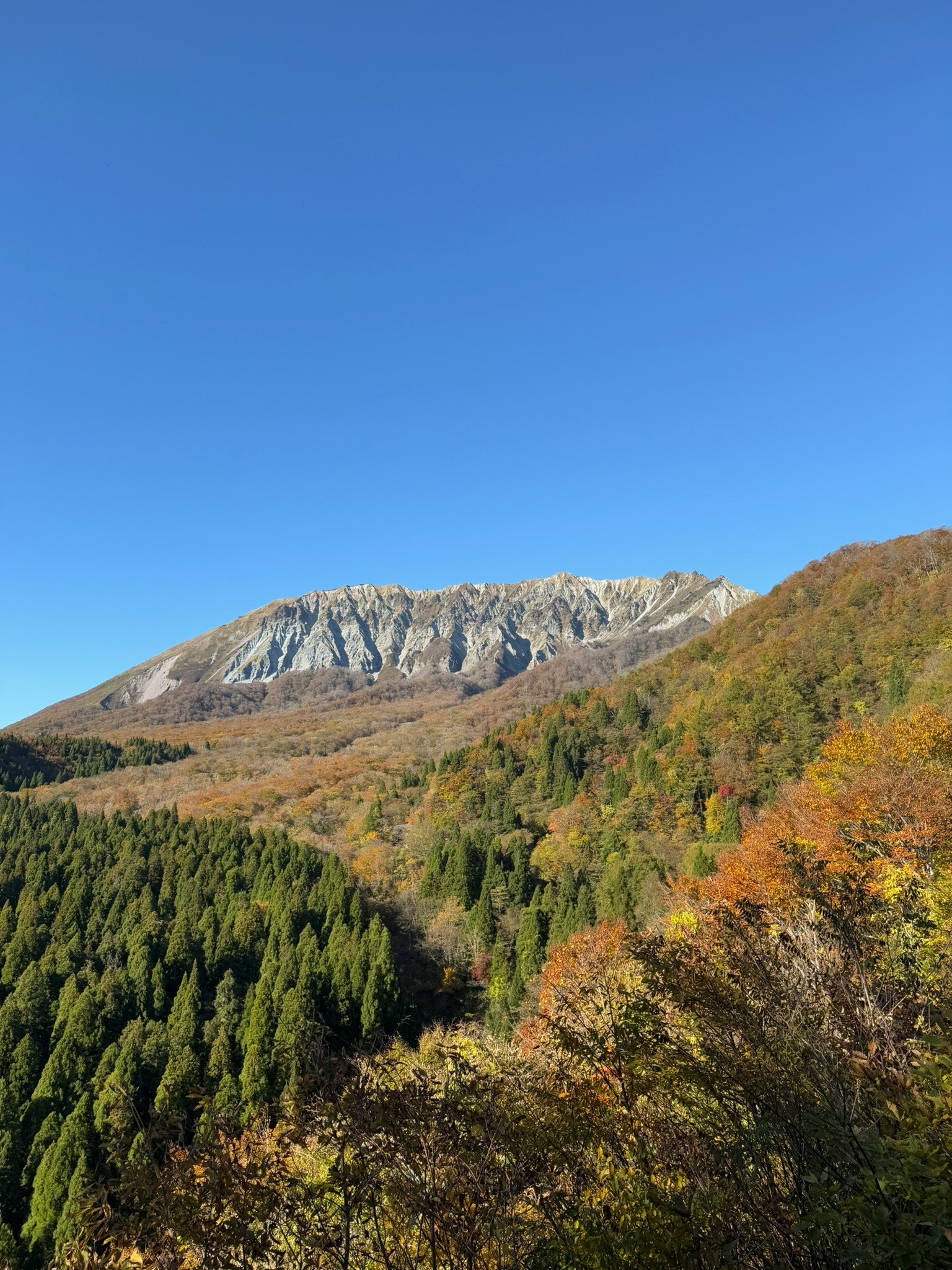 大山の山並みと紅葉の森の景色