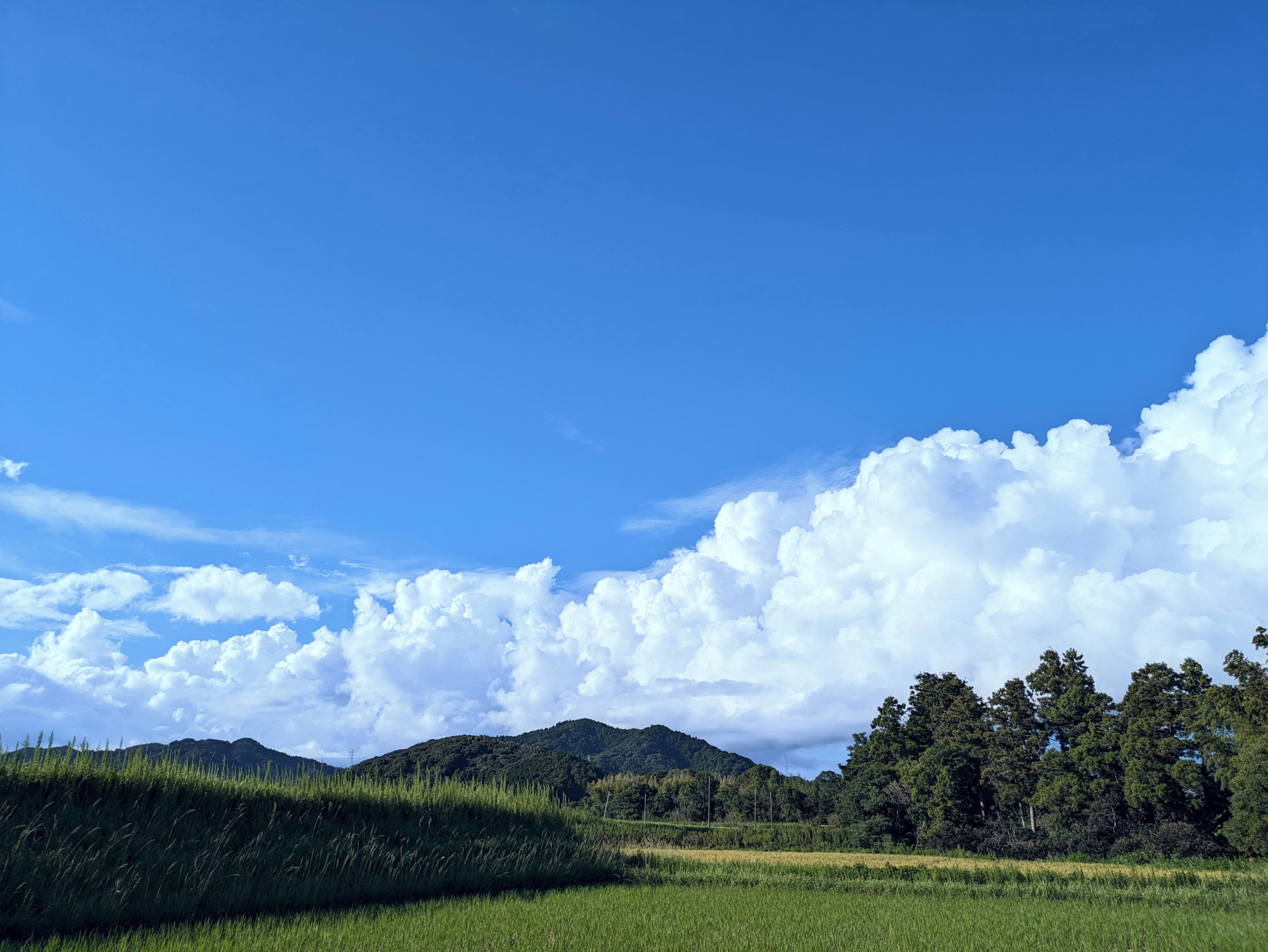 Landschaft auf dem Land mit Feldern, Bergen und blauem Himmel