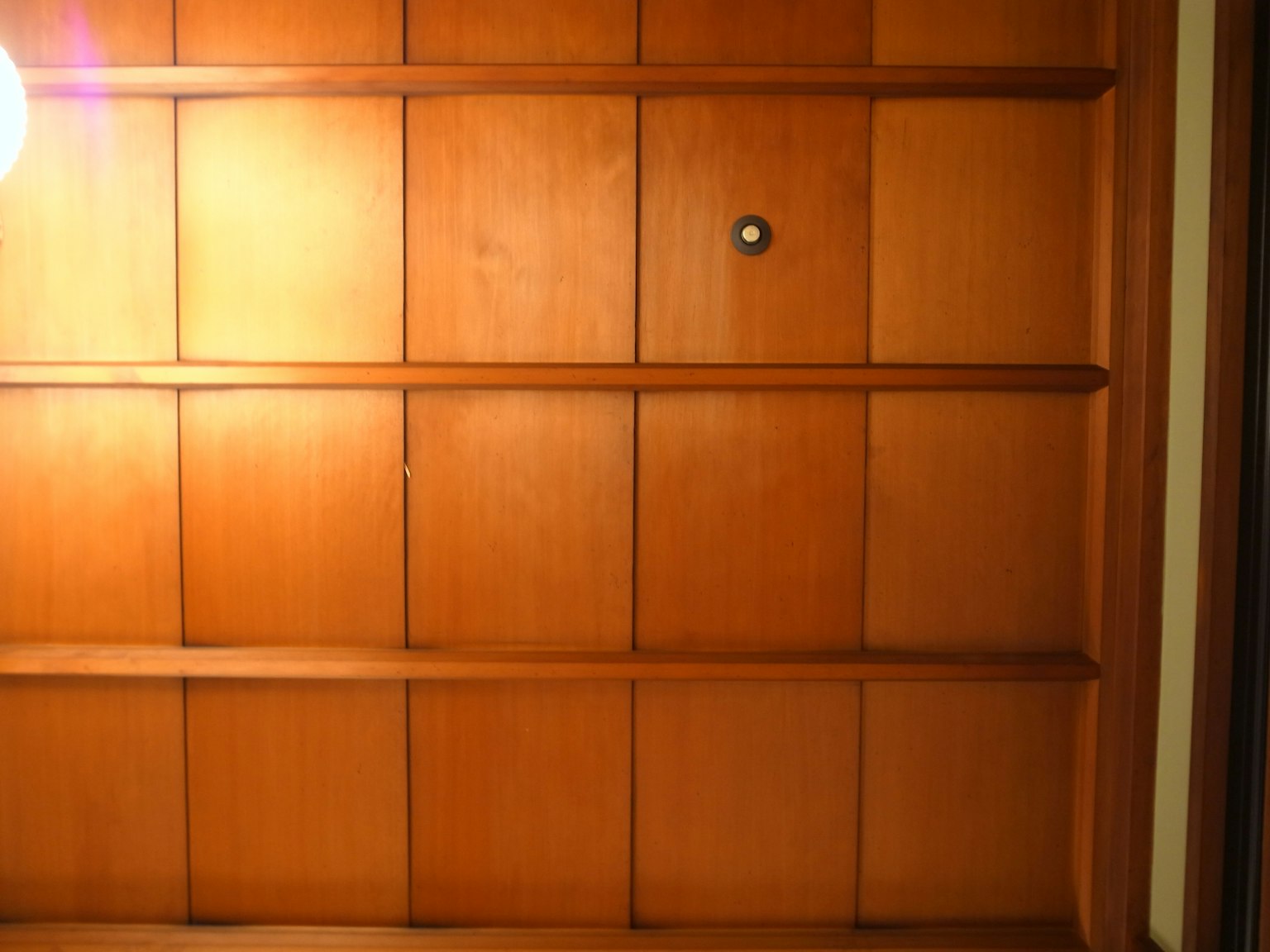 Immagine che mostra i dettagli dei pannelli di soffitto in legno