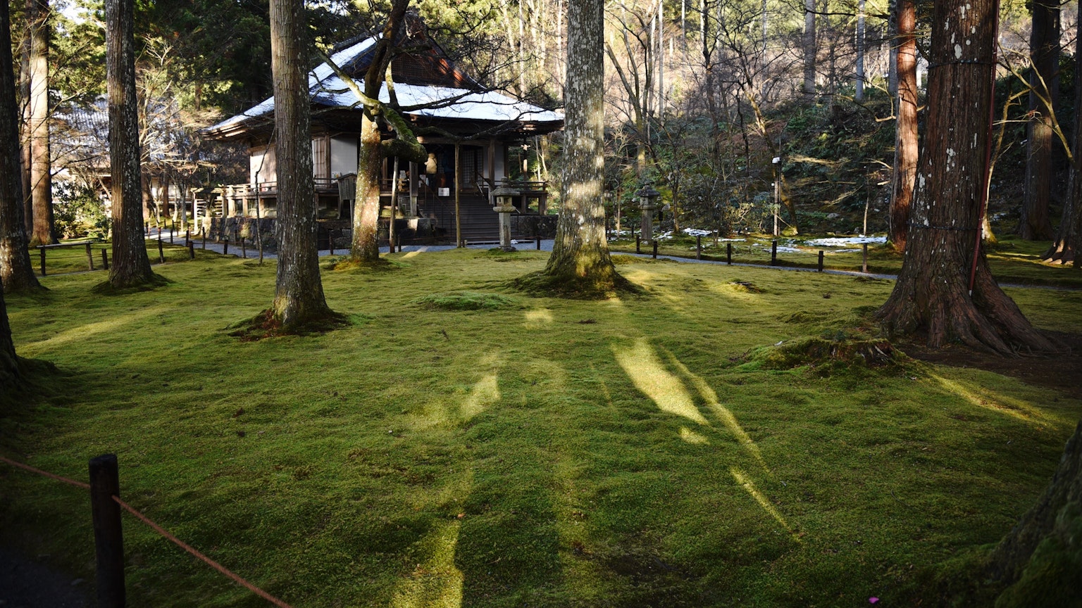 Traditionelles japanisches Gebäude umgeben von moosbedecktem Boden und hohen Bäumen