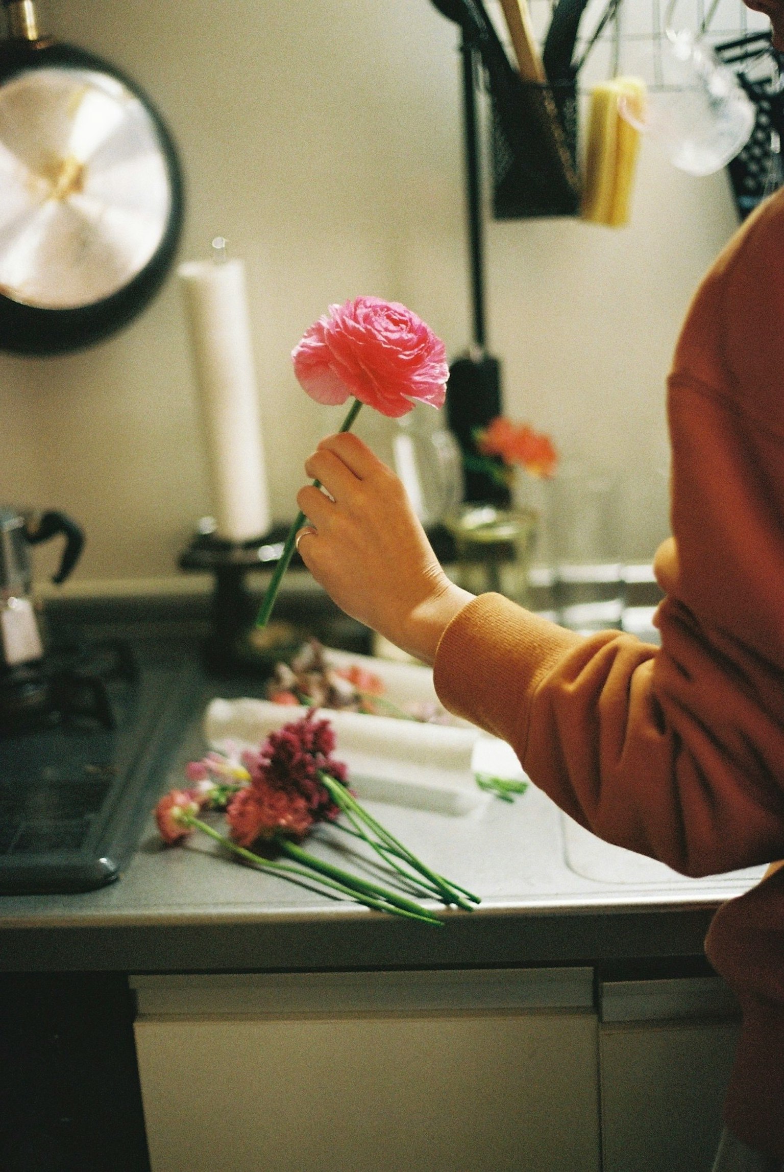 Una mano sosteniendo una flor rosa con varias flores en una encimera de cocina