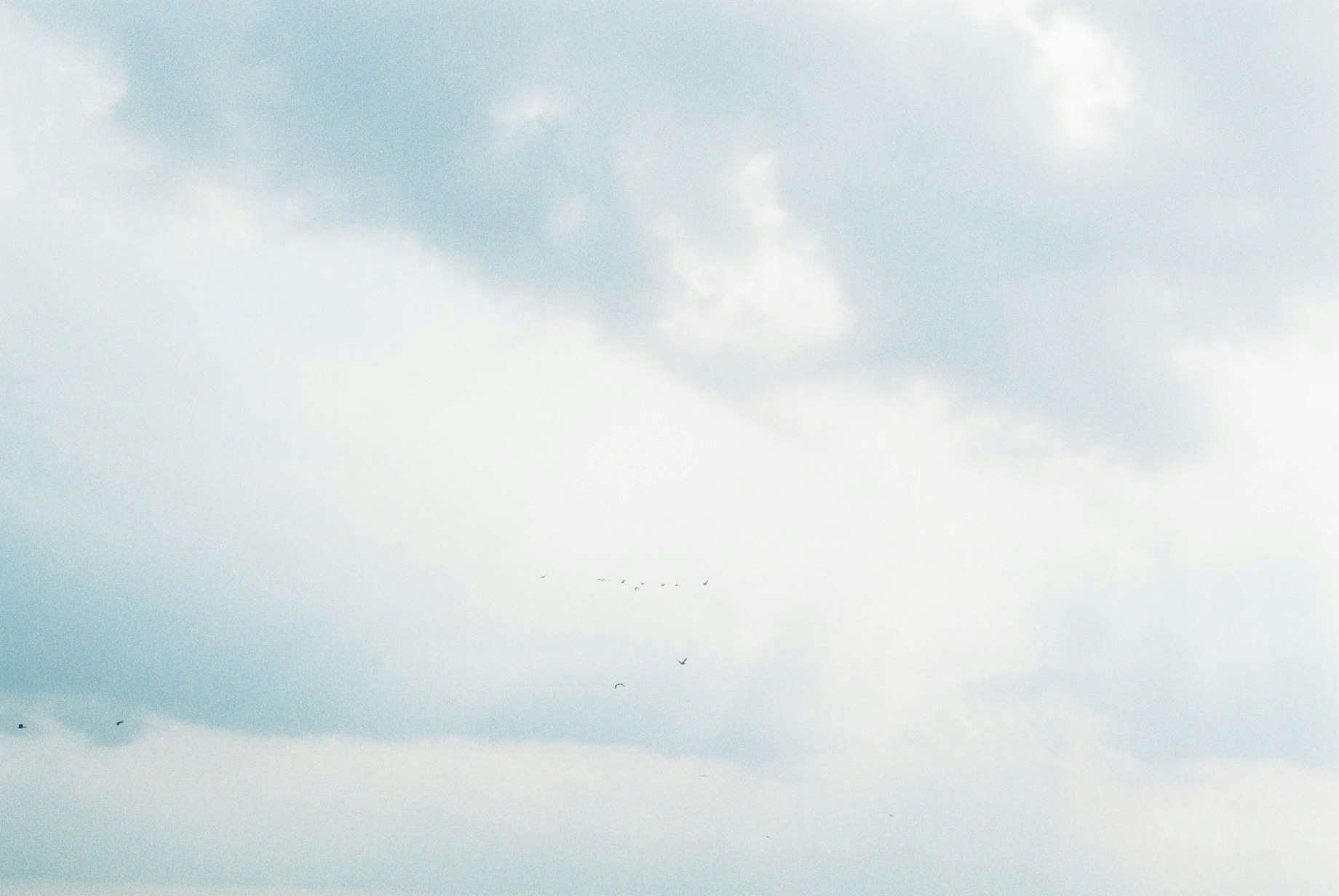bewölkter Himmel mit einer Vogelgruppe