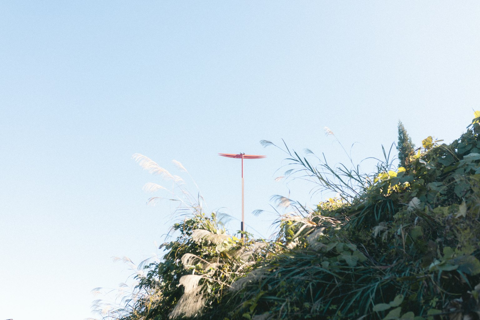 Rotes Windrad vor blauem Himmel über einem grünen Hügel