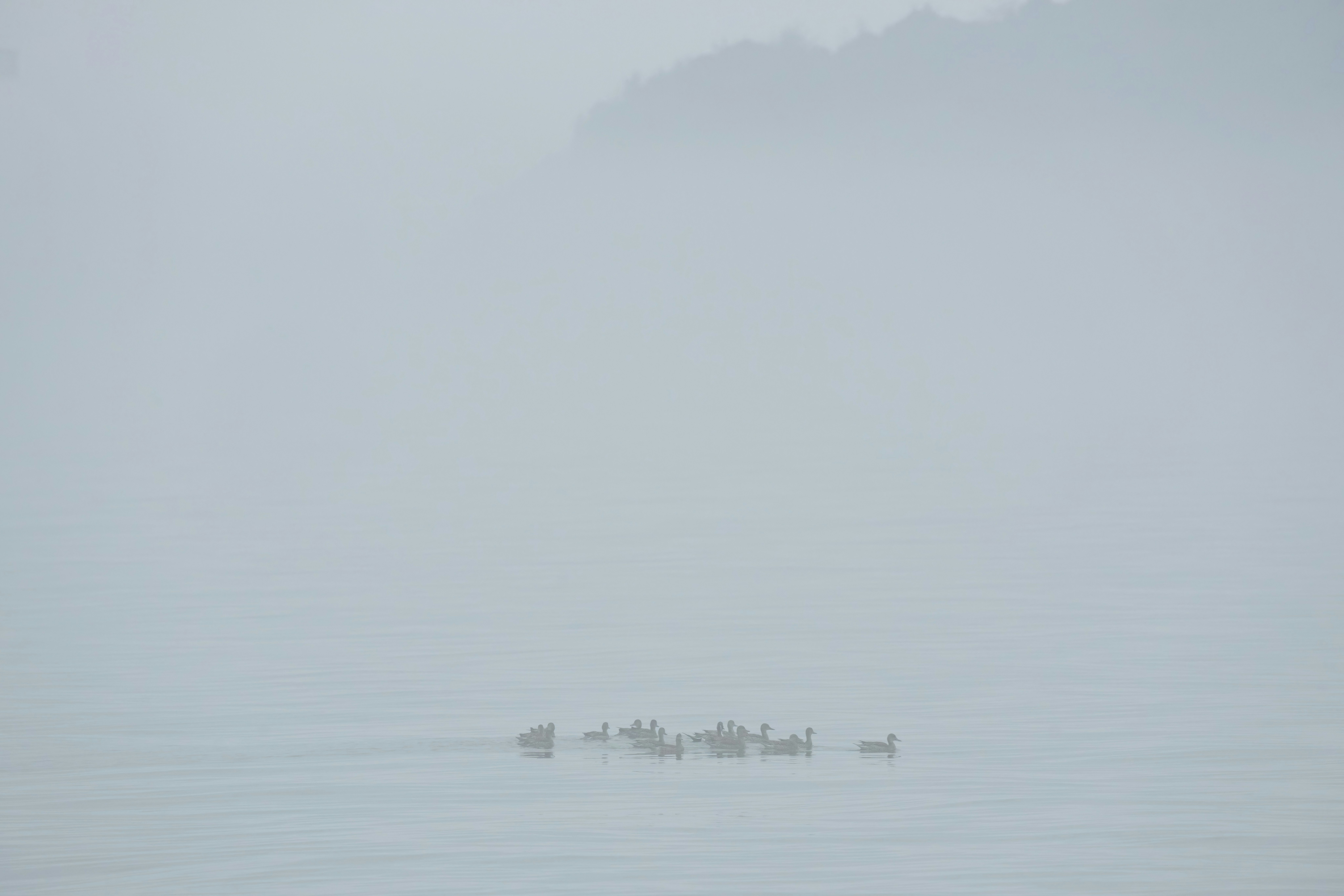 霧の中に浮かぶ小さな船と水面の静けさ