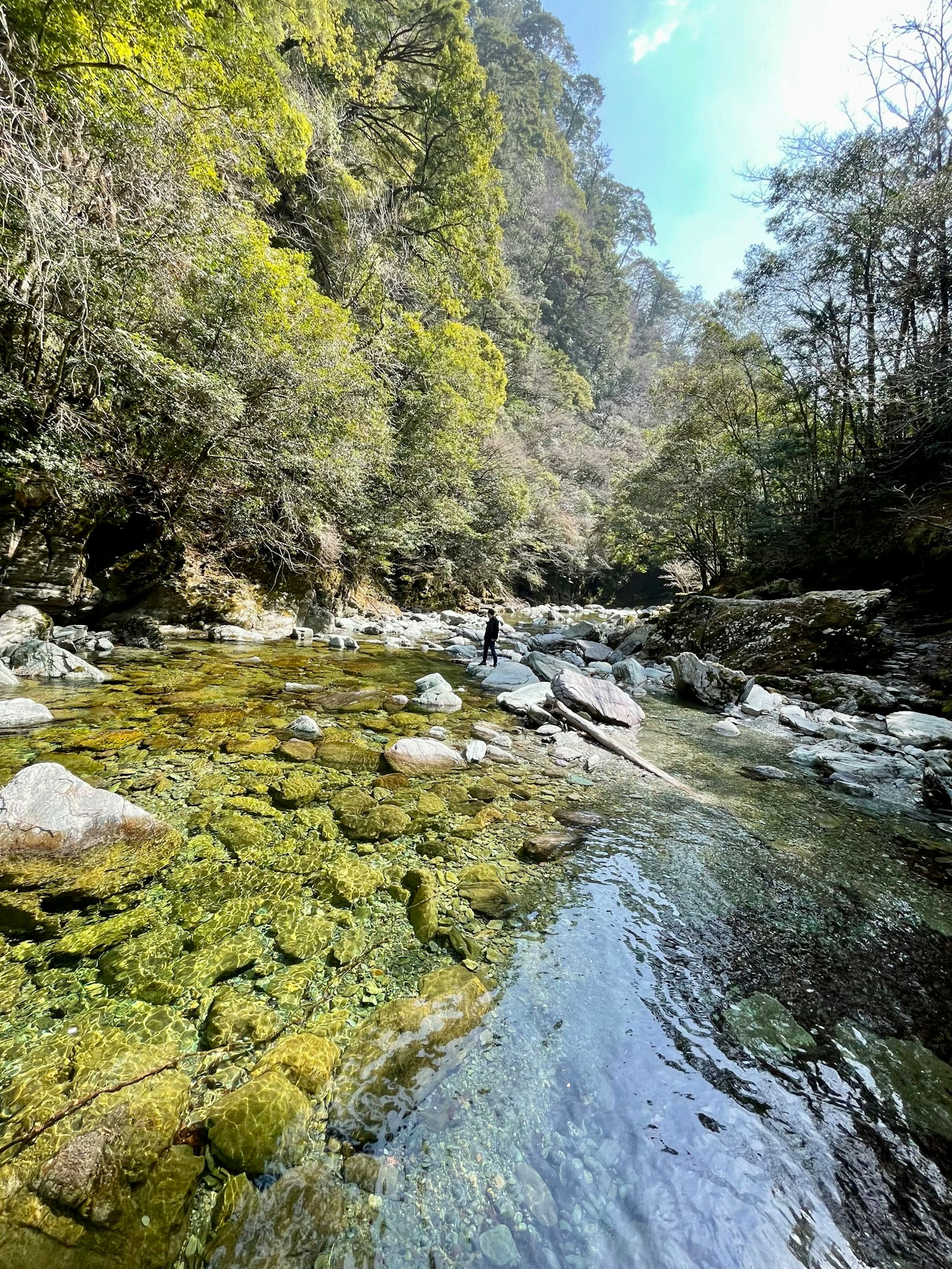 清澈的河流被綠色樹木環繞的自然風景