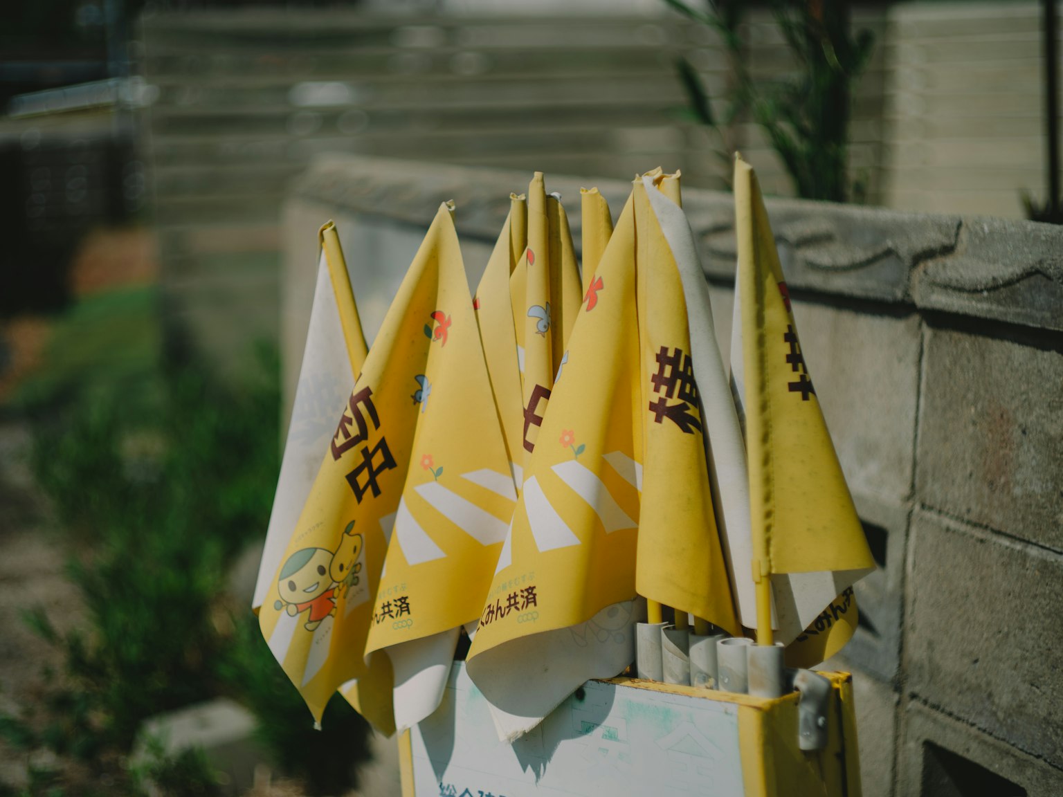一組小黃旗在花園中展示，帶有文字