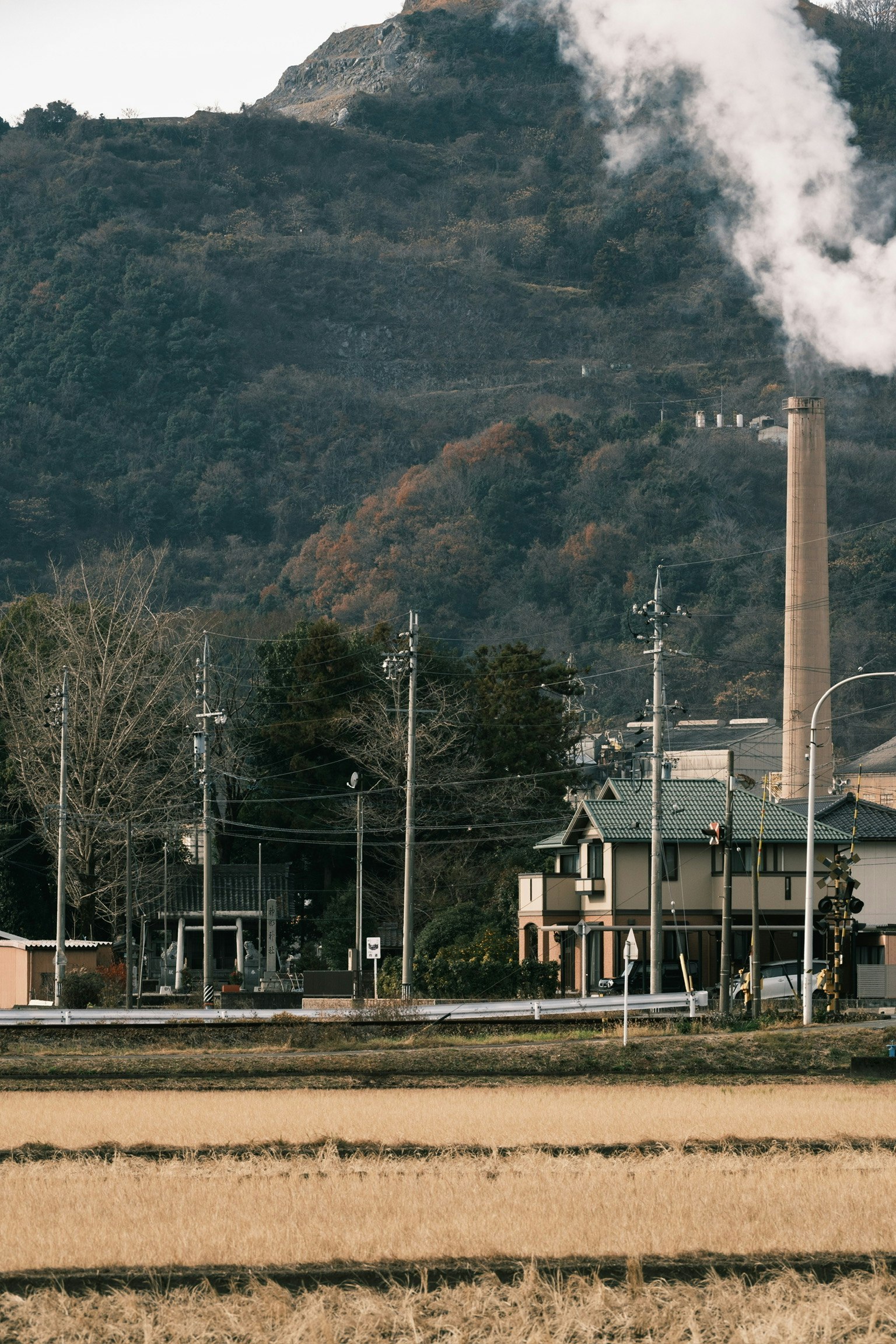 山脉背景下的工厂和稻田风景