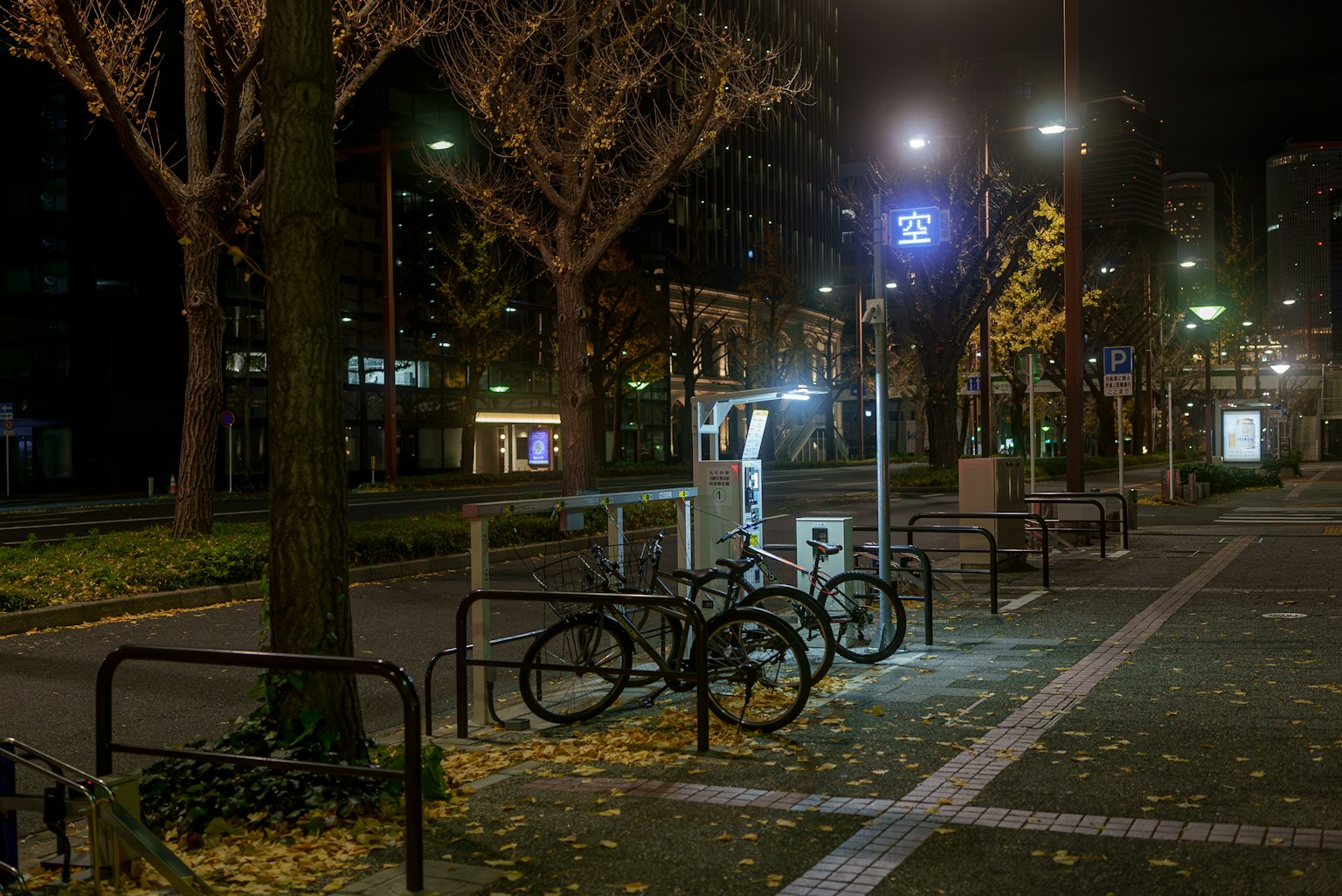 Biciclette parcheggiate in un parco urbano notturno con foglie autunnali