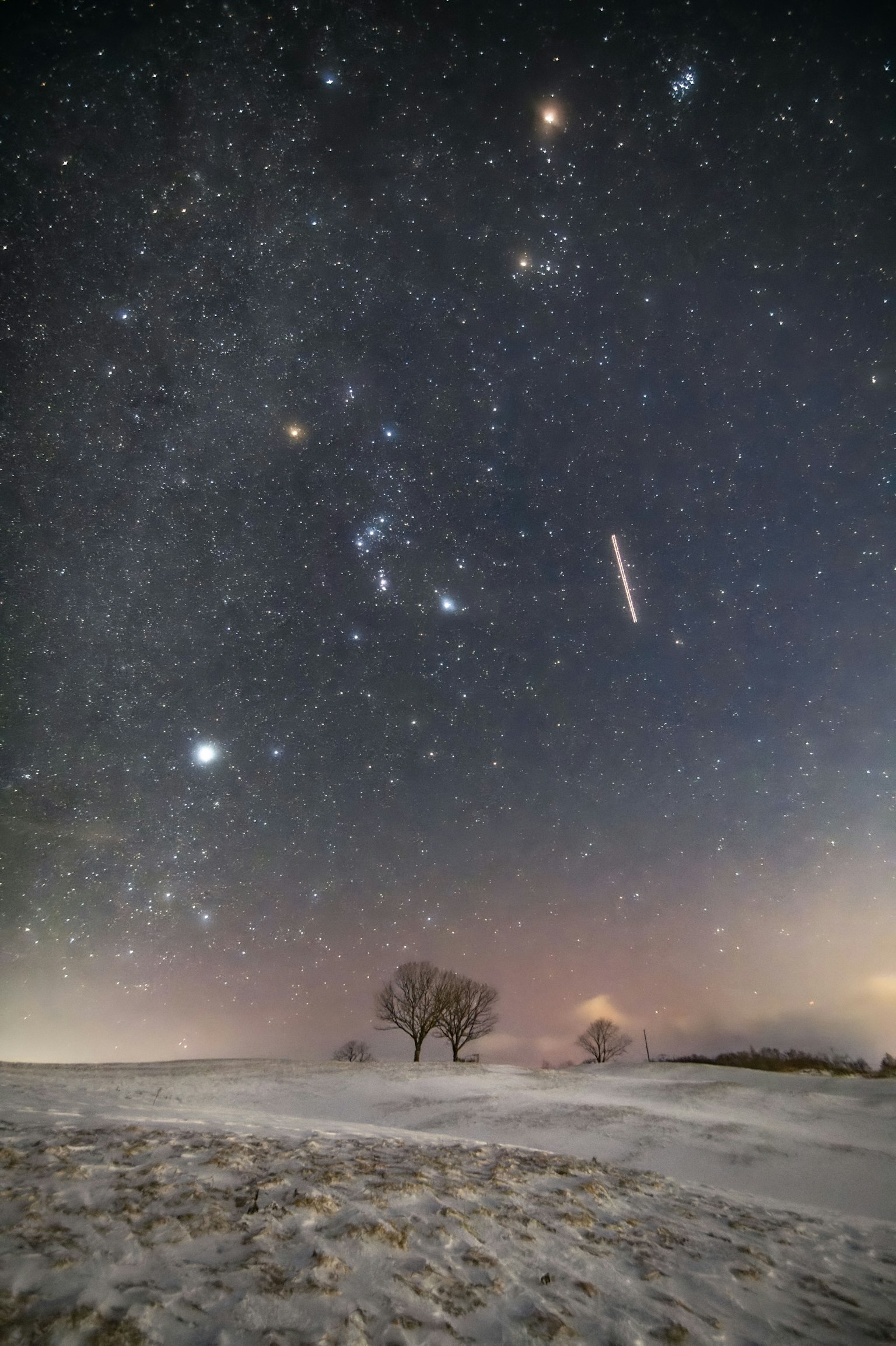 雪覆盖的景观下方的星空 明亮的星星和猎户座可见