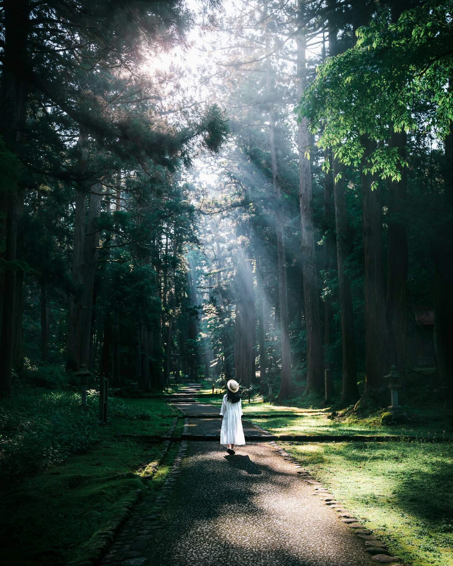 Une femme en robe blanche se tenant dans la lumière filtrée par les arbres