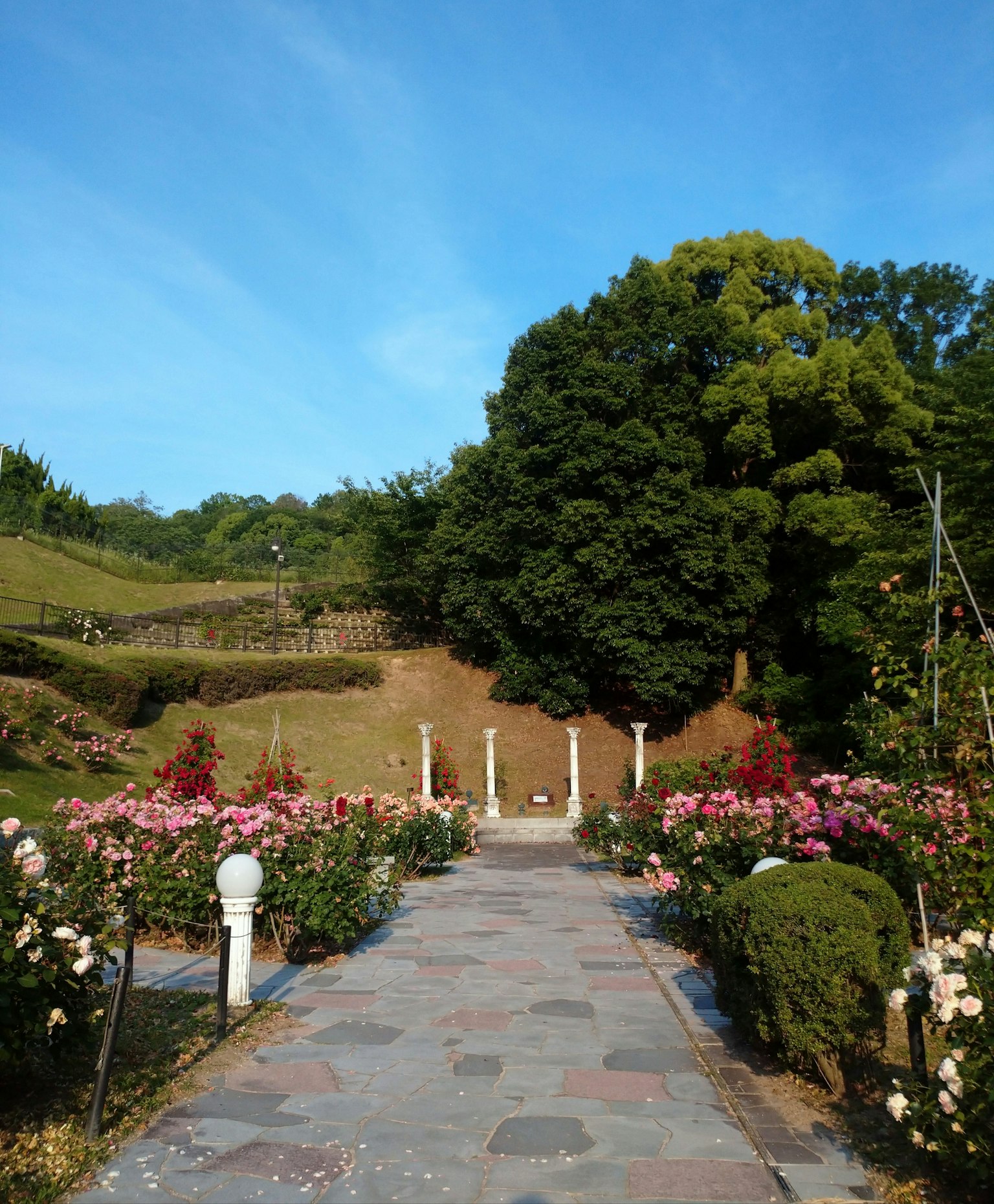 一条风景如画的小路，两旁是五彩缤纷的花朵和晴朗的蓝天