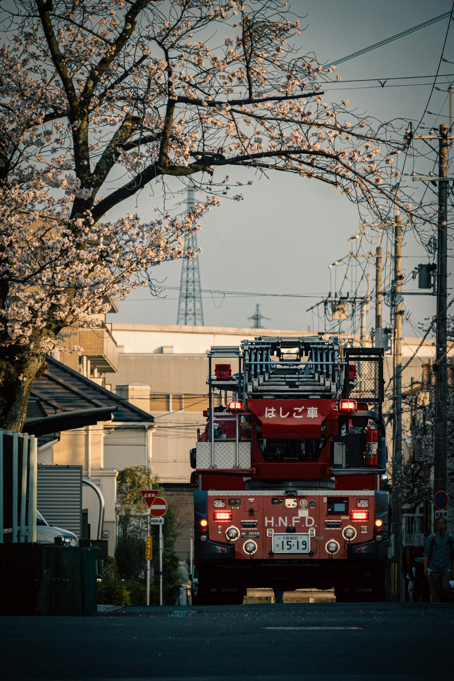 Un camion dei pompieri rosso che passa sotto alberi di ciliegio