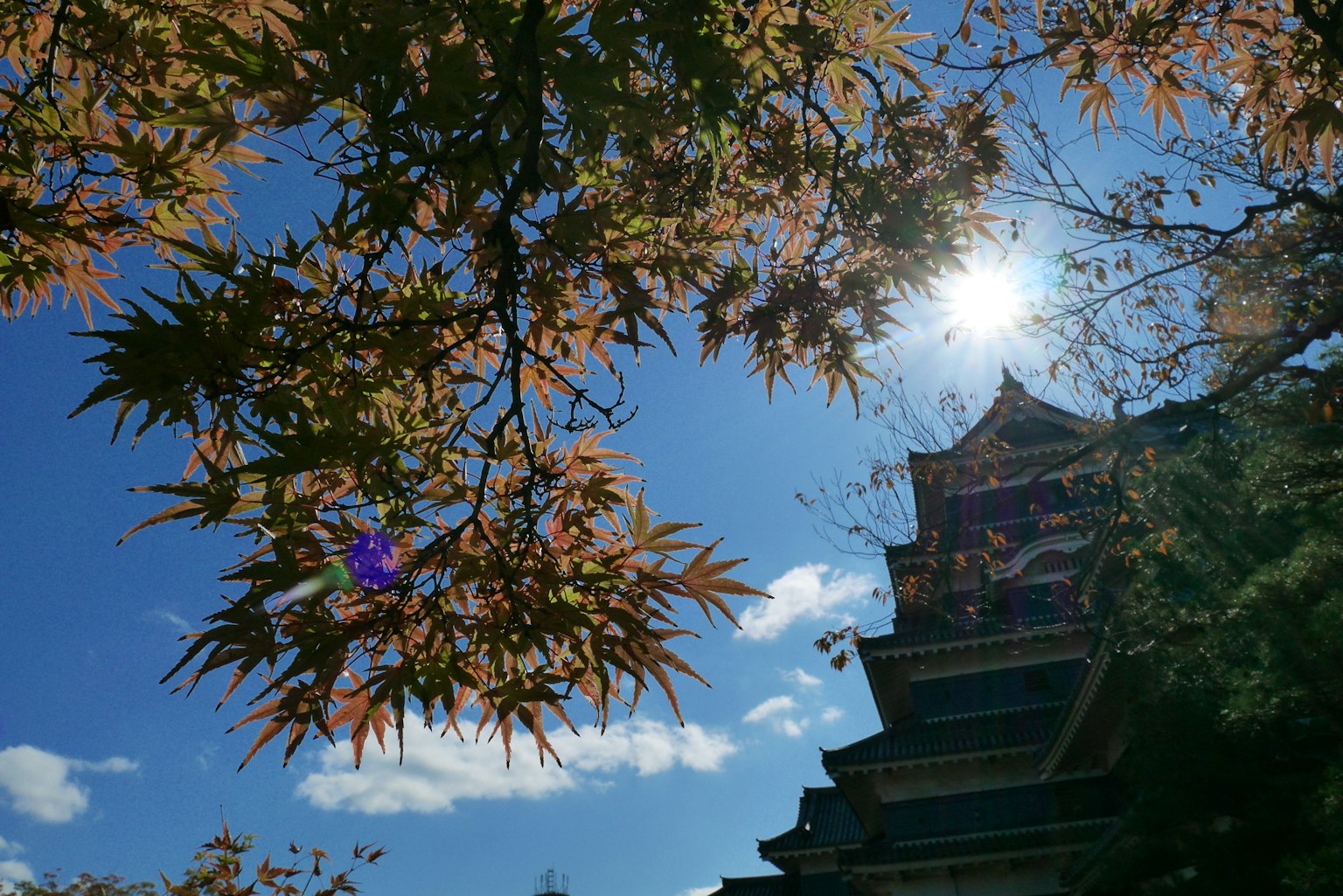 Vista escénica de hojas de otoño y un edificio japonés tradicional bajo un cielo azul