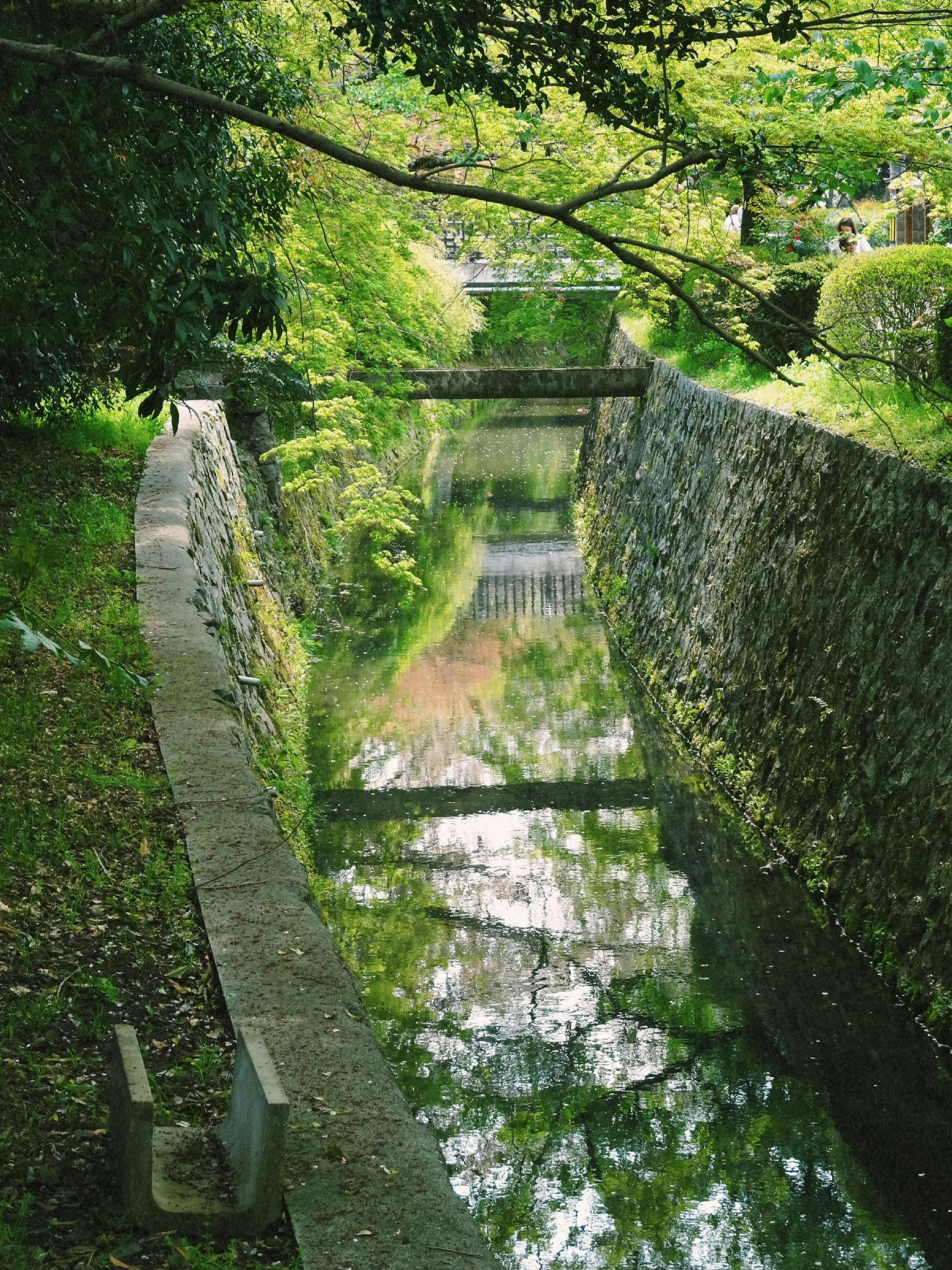 緑に囲まれた石積みの小さな水路と滝