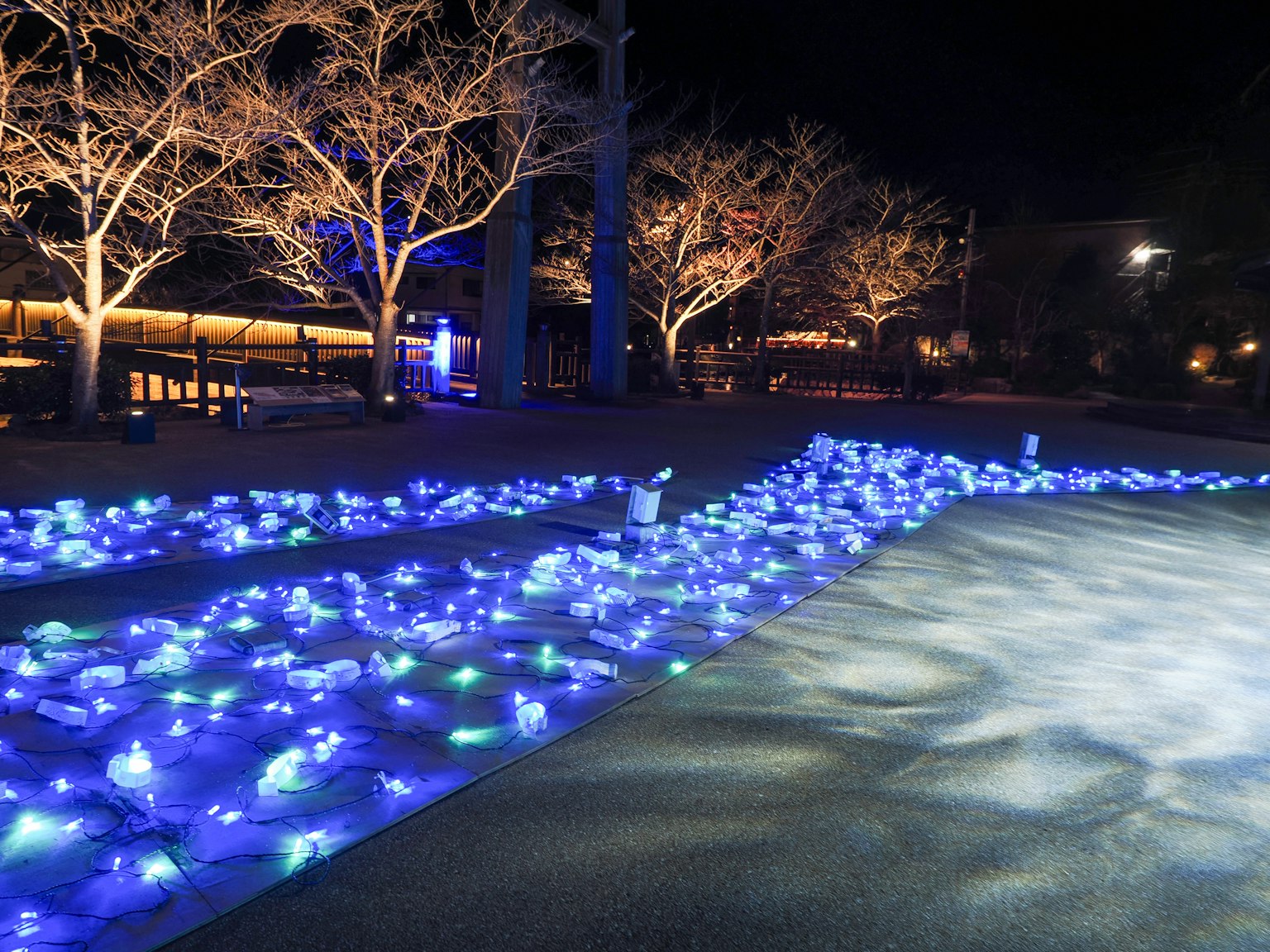 ฉากกลางคืนที่มีไฟตกแต่งสีน้ำเงินและต้นไม้ที่มองเห็นได้
