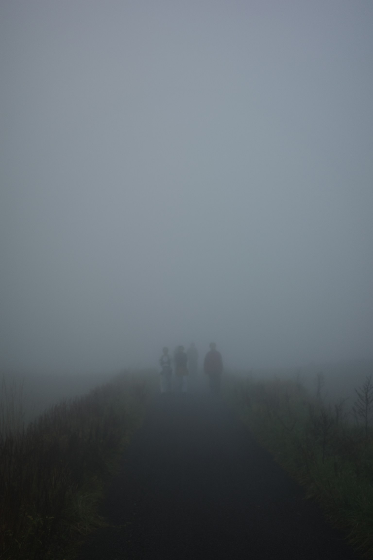 photo-oddJTquZfrkQZ8DvSFuy-image