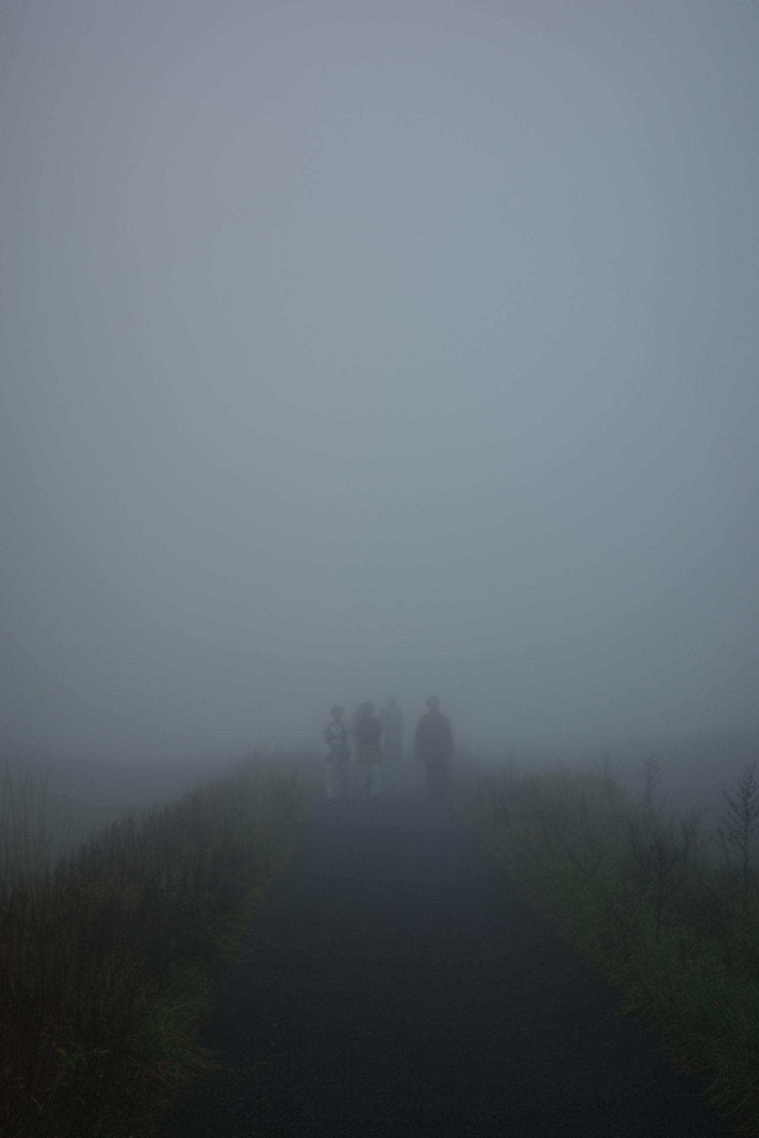 Silhouettes of people walking in a foggy landscape