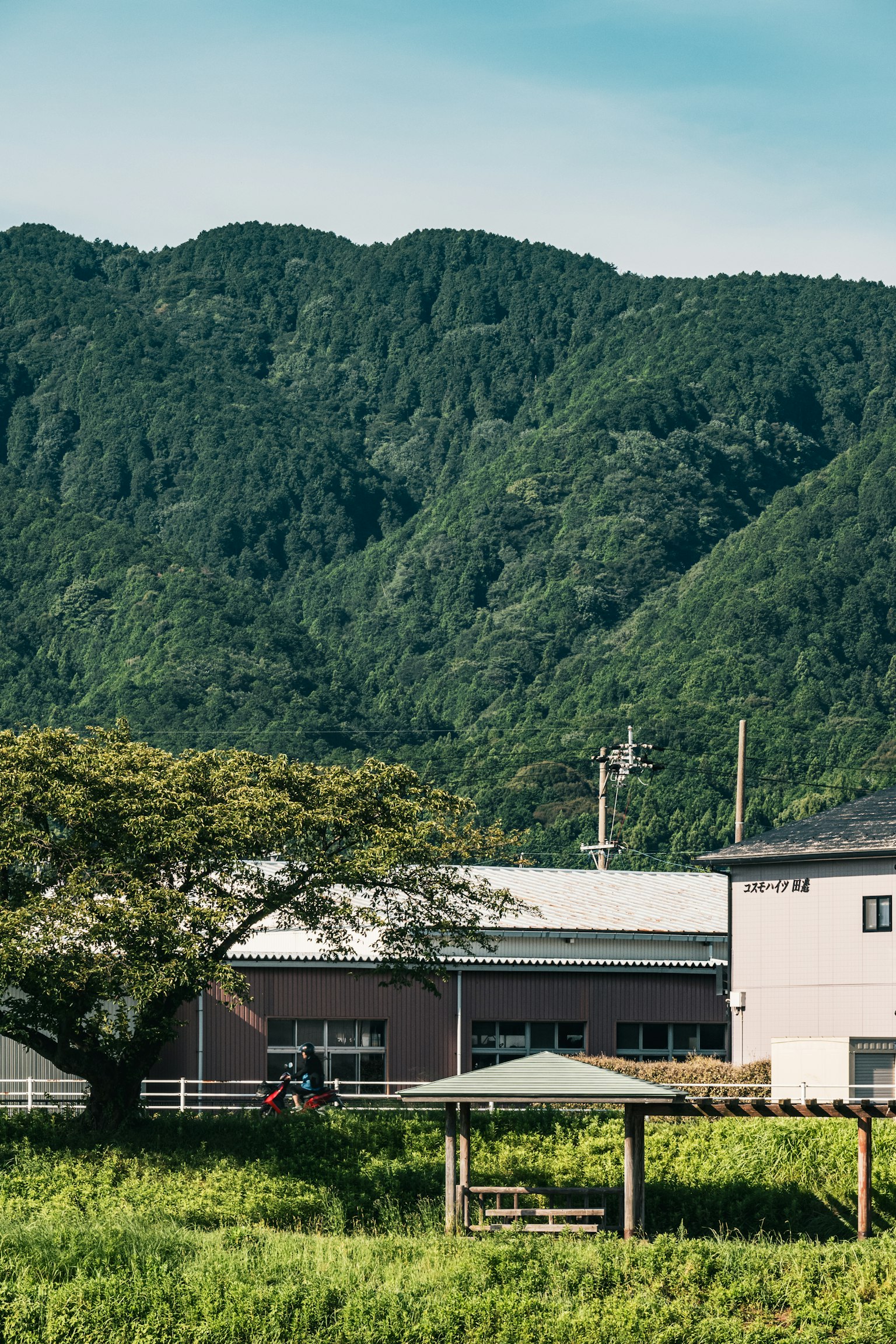 Rural landscape featuring buildings with lush green mountains in the background