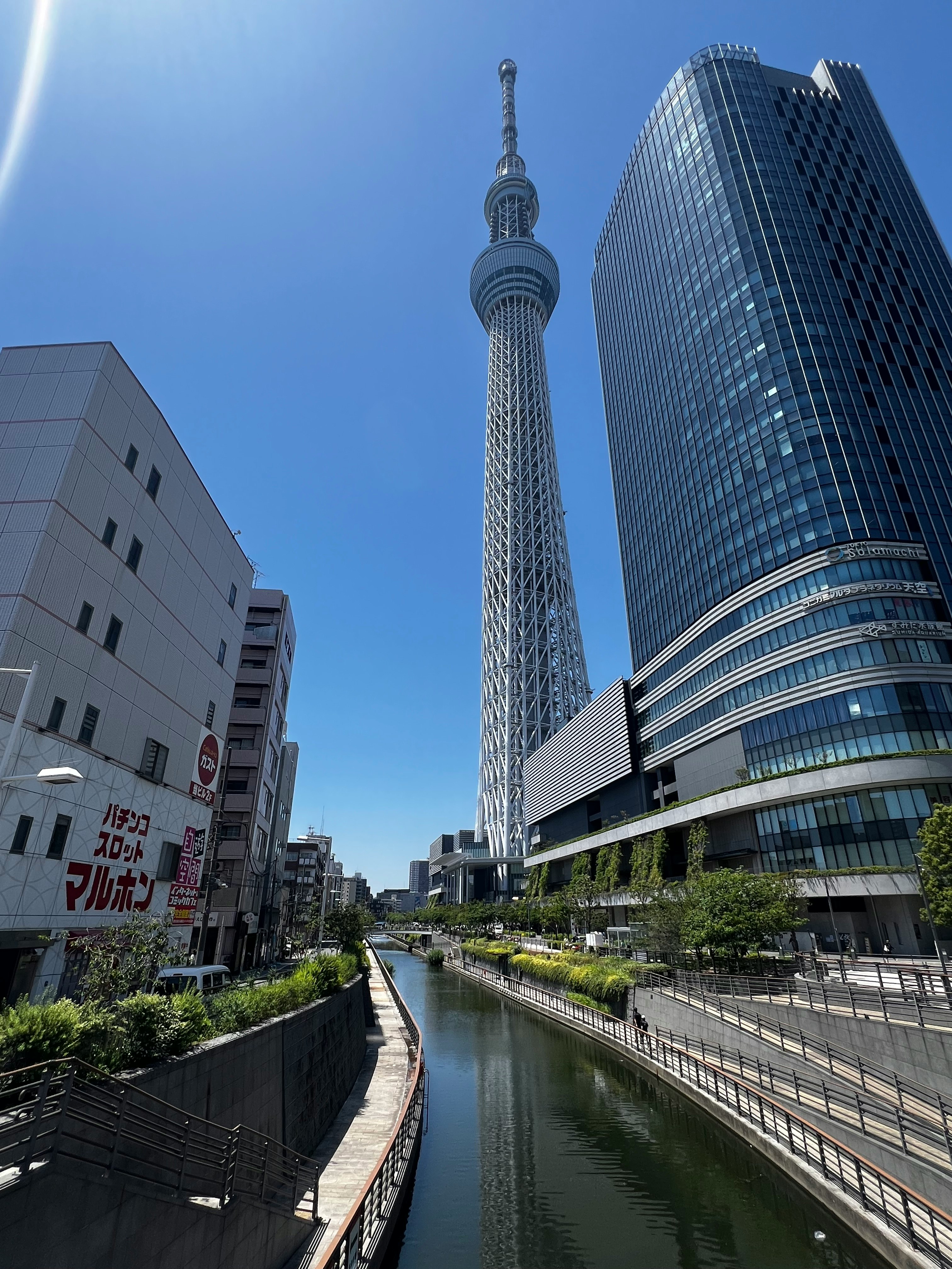 青空の下の東京スカイツリーと運河沿いの街並み