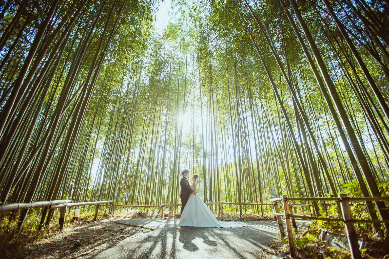 Silhouette của một cặp đôi trong trang phục cưới được bao quanh bởi rừng tre