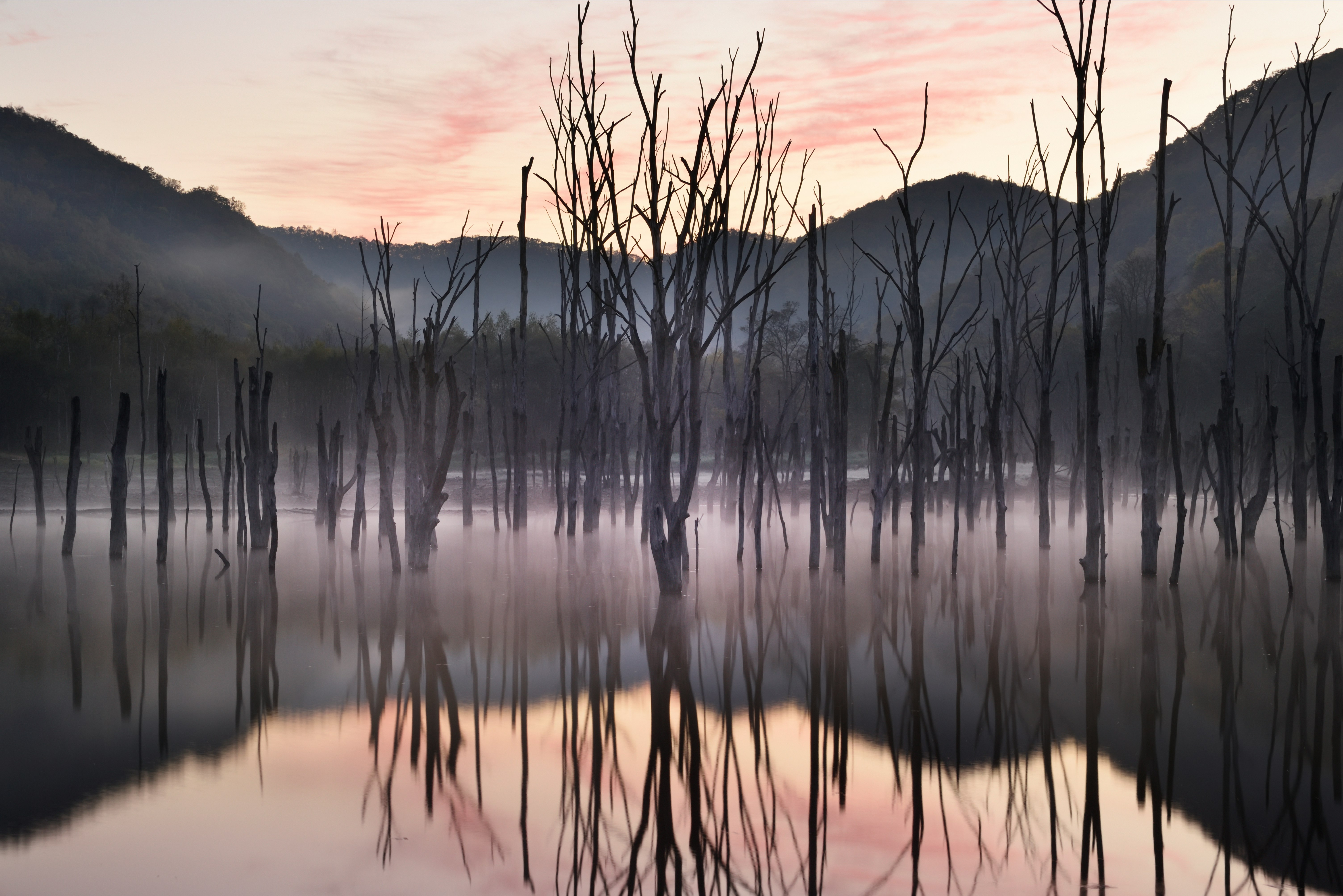 photo-oepffK2C31J9aU5Gtuvp-image