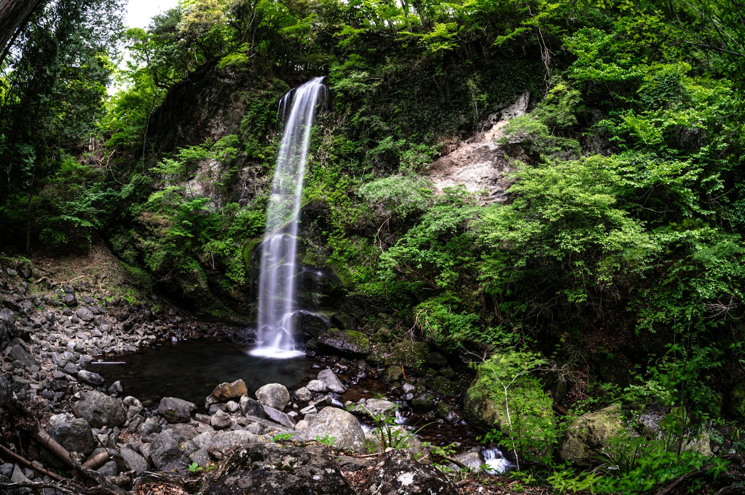 photo-ofJzLWmKWG3eFzYya88W-image