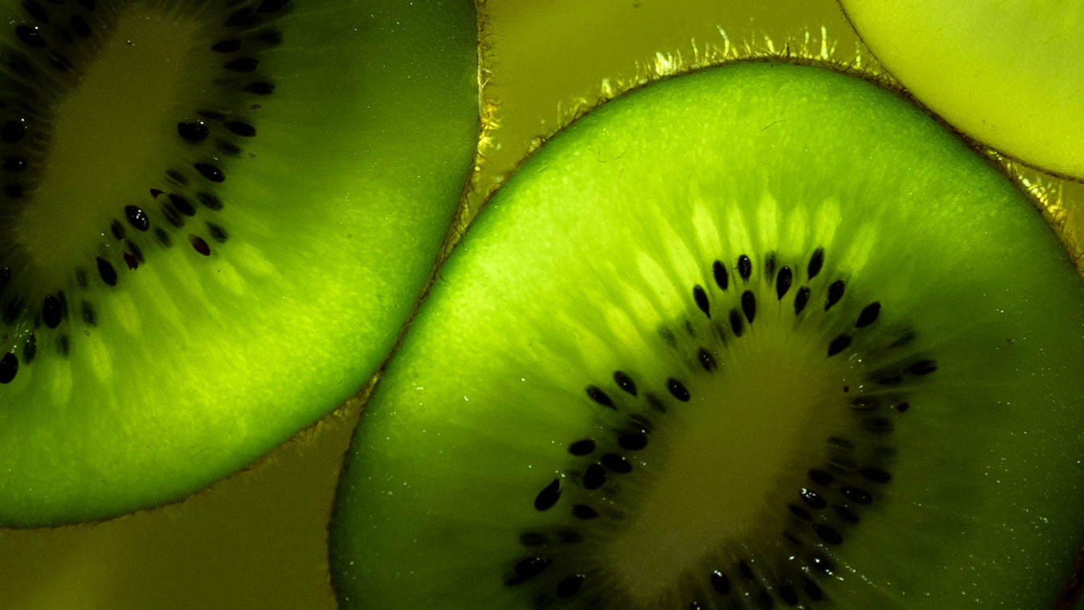Tranches de kiwi vert vif disposées côte à côte