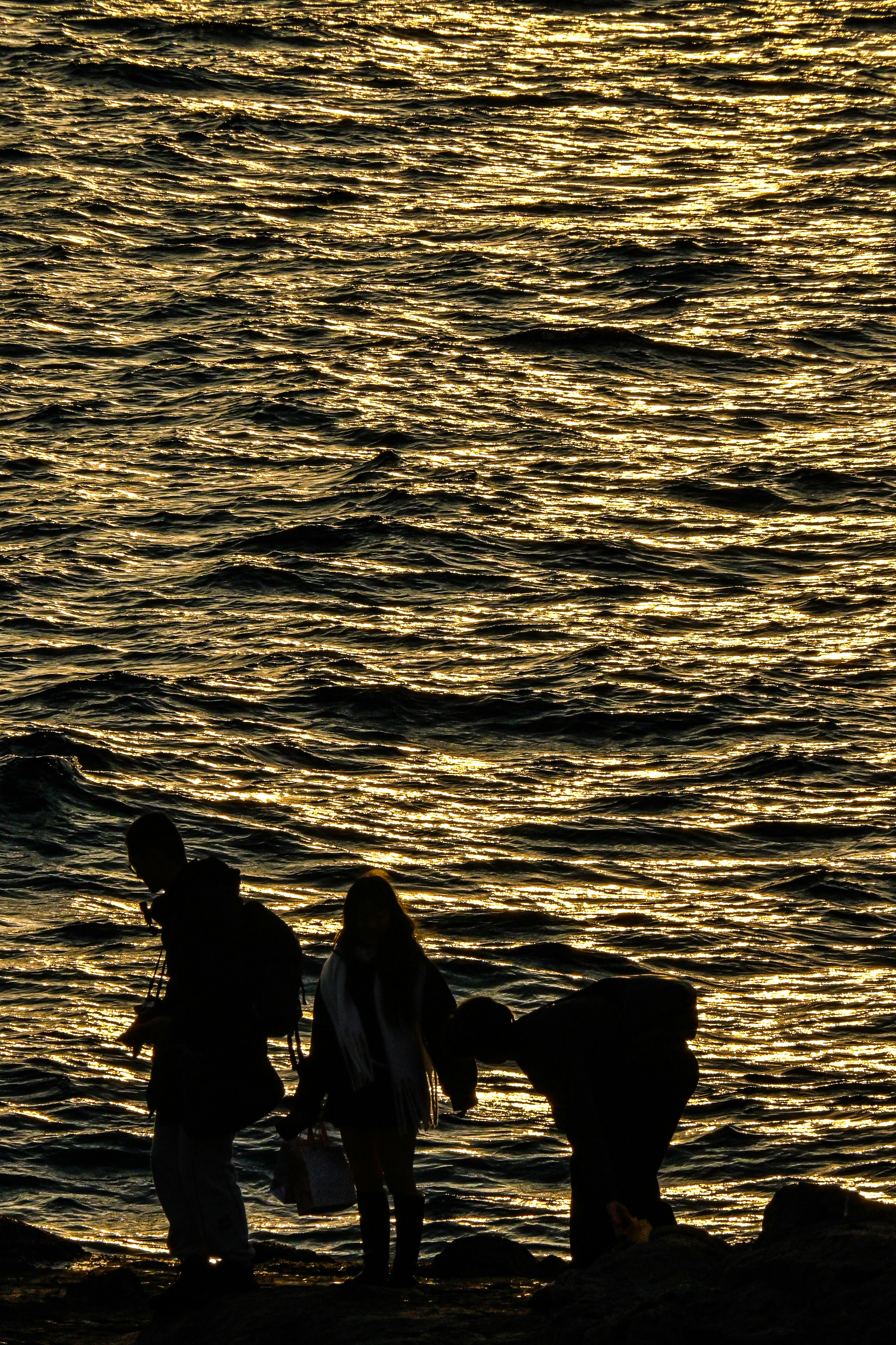 夕日に照らされた海辺で人が歩く情景