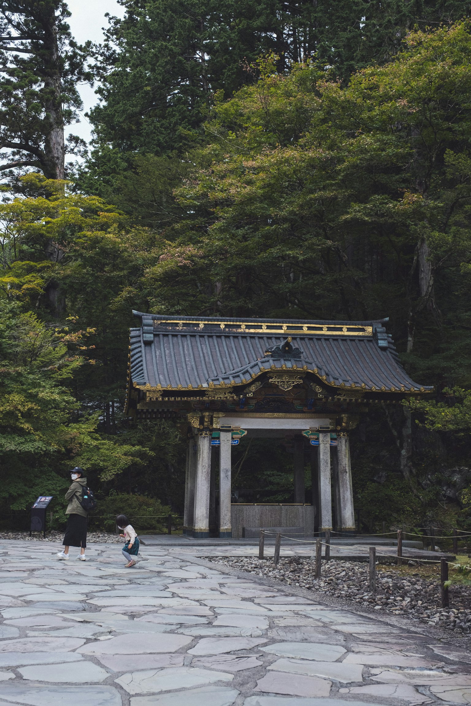 Traditional Japanese gate surrounded by lush greenery and stone path