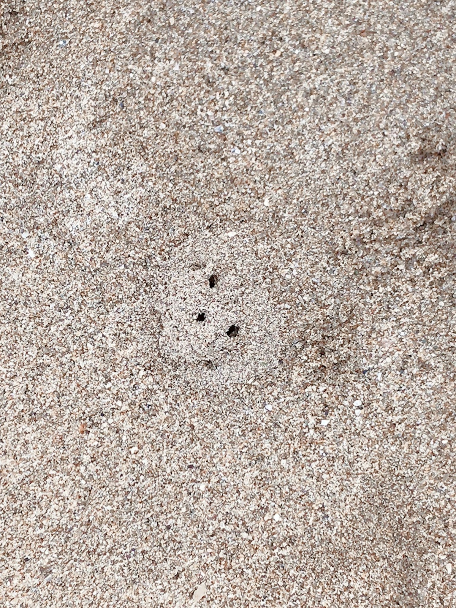 Trois petits trous dans le sable