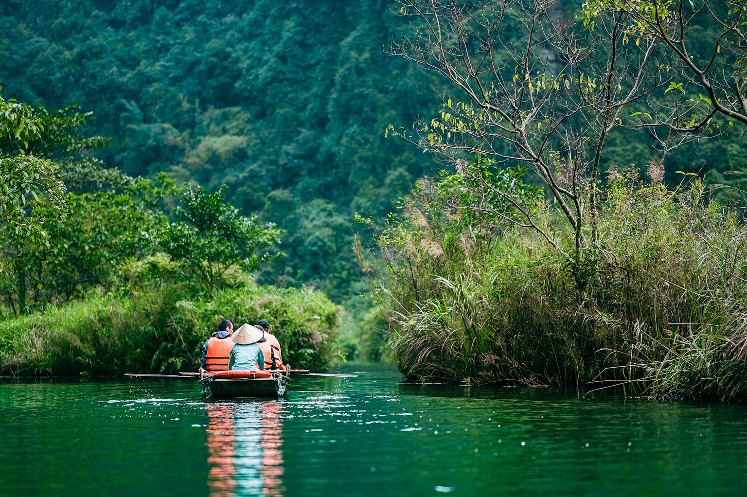 Perahu mendayung di sungai hijau dikelilingi vegetasi subur