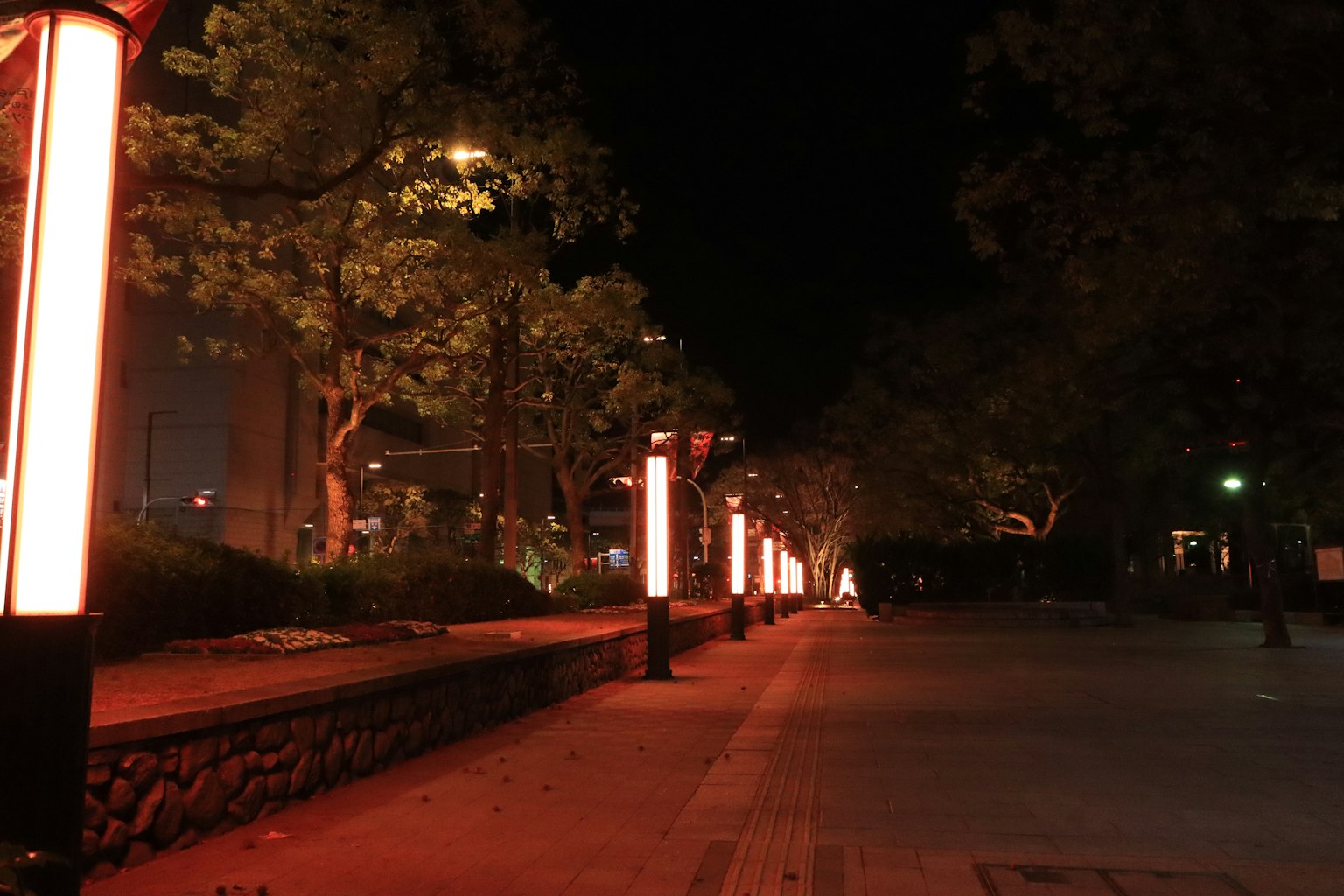 夜間公園中紅燈照亮的人行道