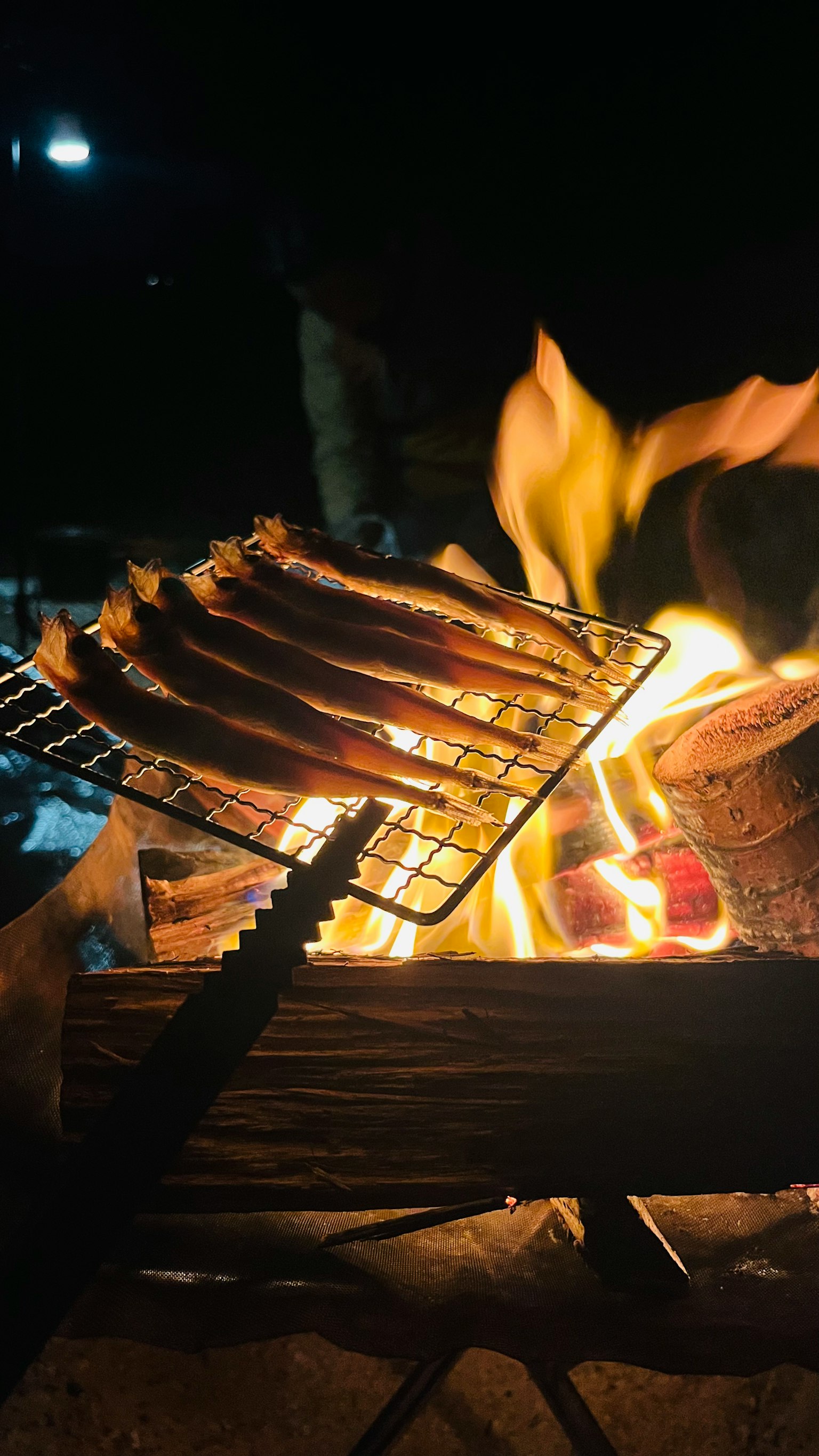 Gegrillte Fleischspieße über einem Lagerfeuer bei Nacht