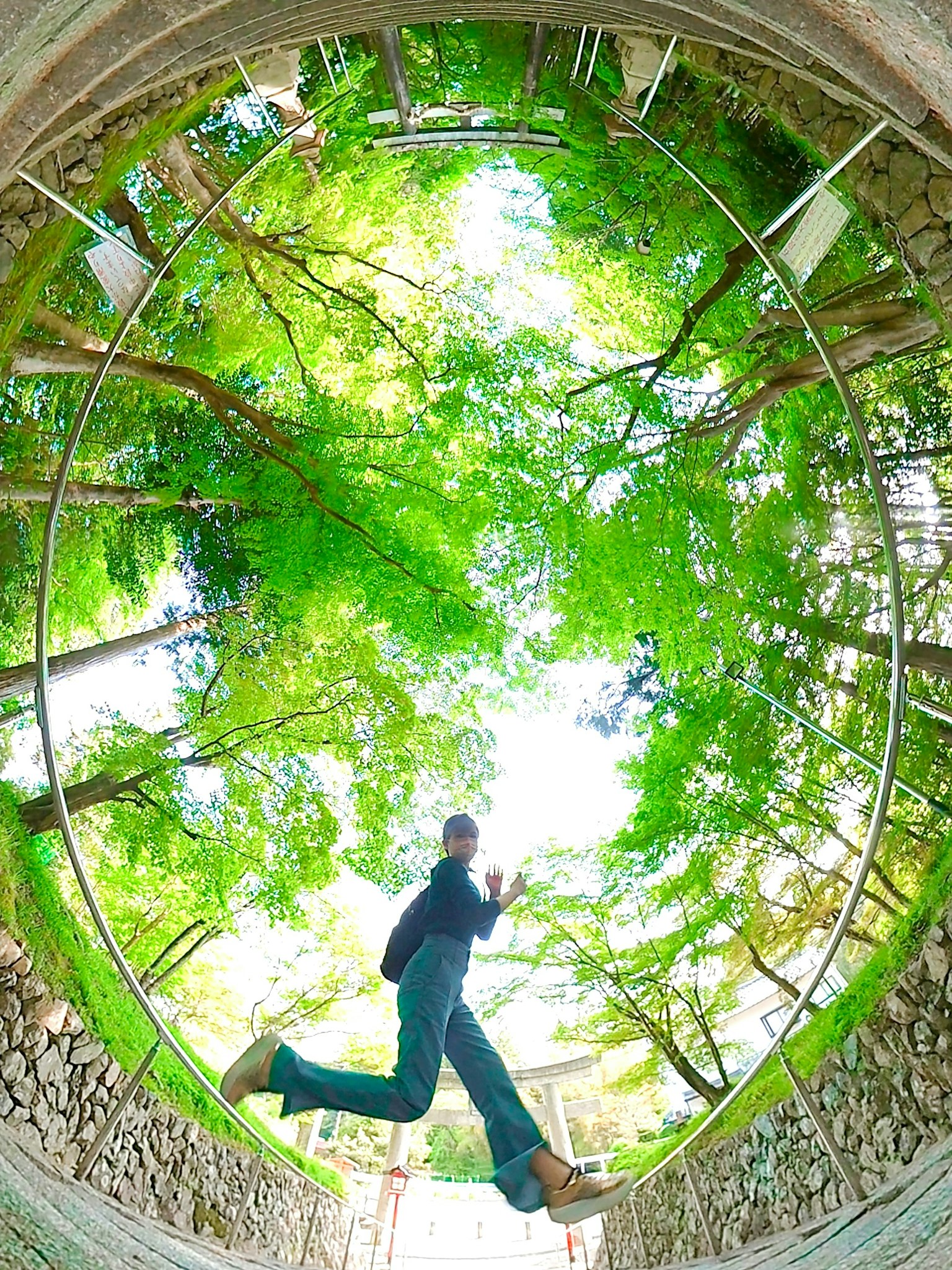 Ảnh fisheye về một người đang chạy giữa những cây xanh