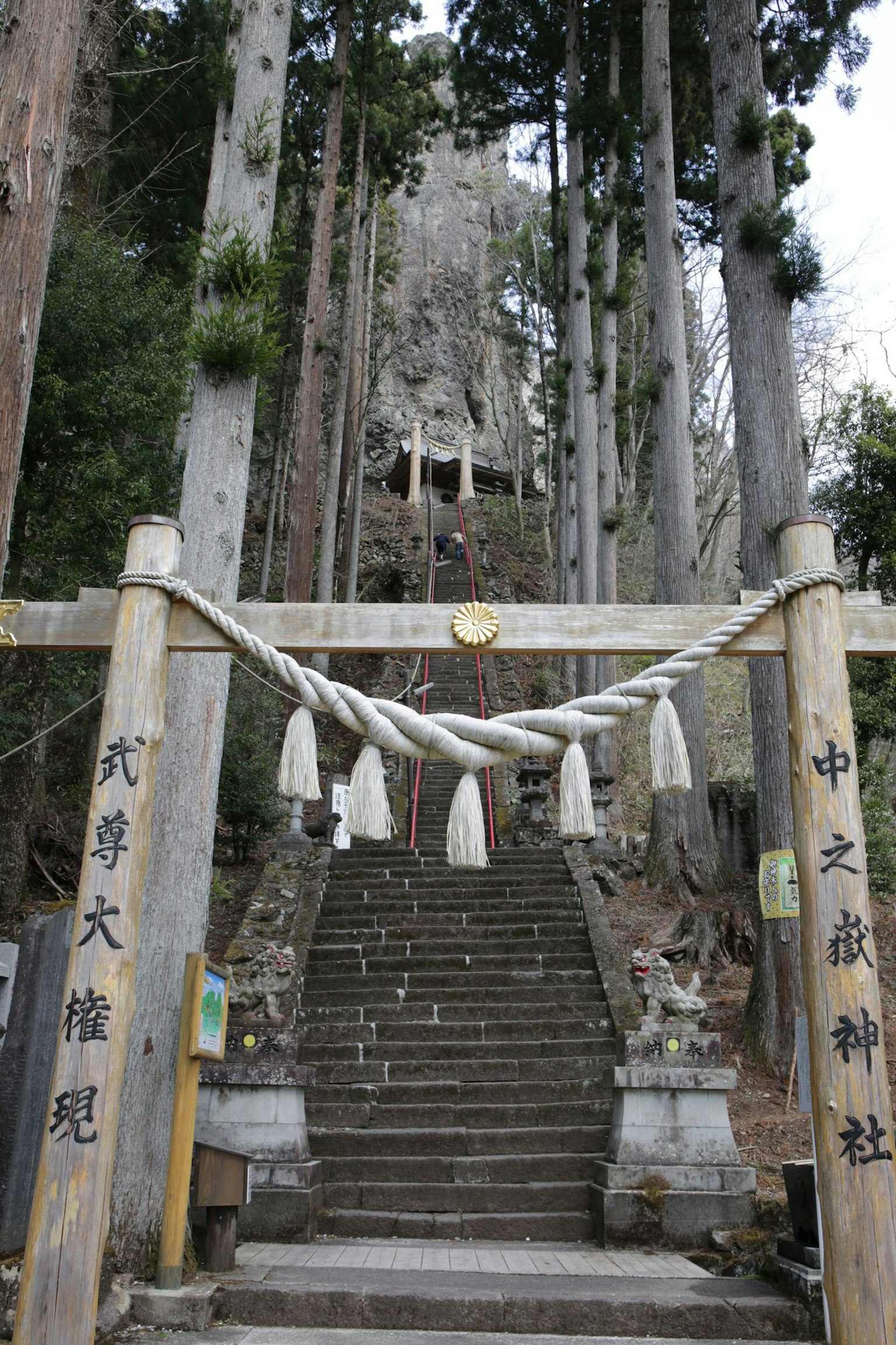 Cổng vào một ngôi đền với cổng torii và shimenawa trong rừng có bậc thang đá