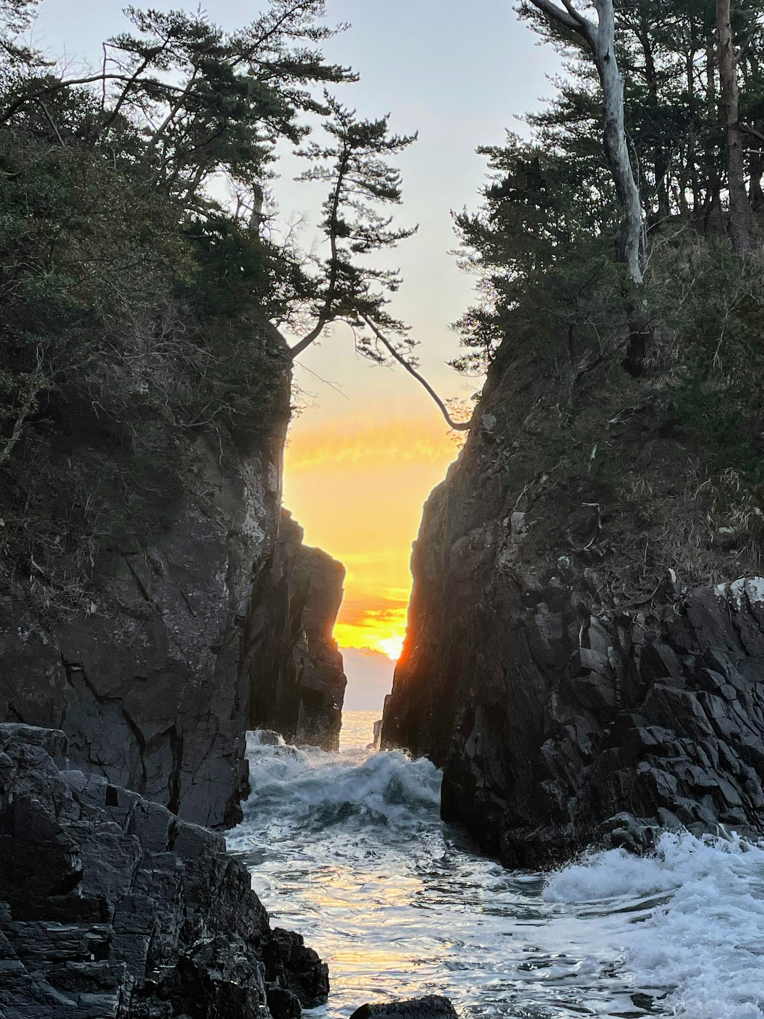 Scène côtière avec des arbres encadrant un coucher de soleil entre des falaises rocheuses
