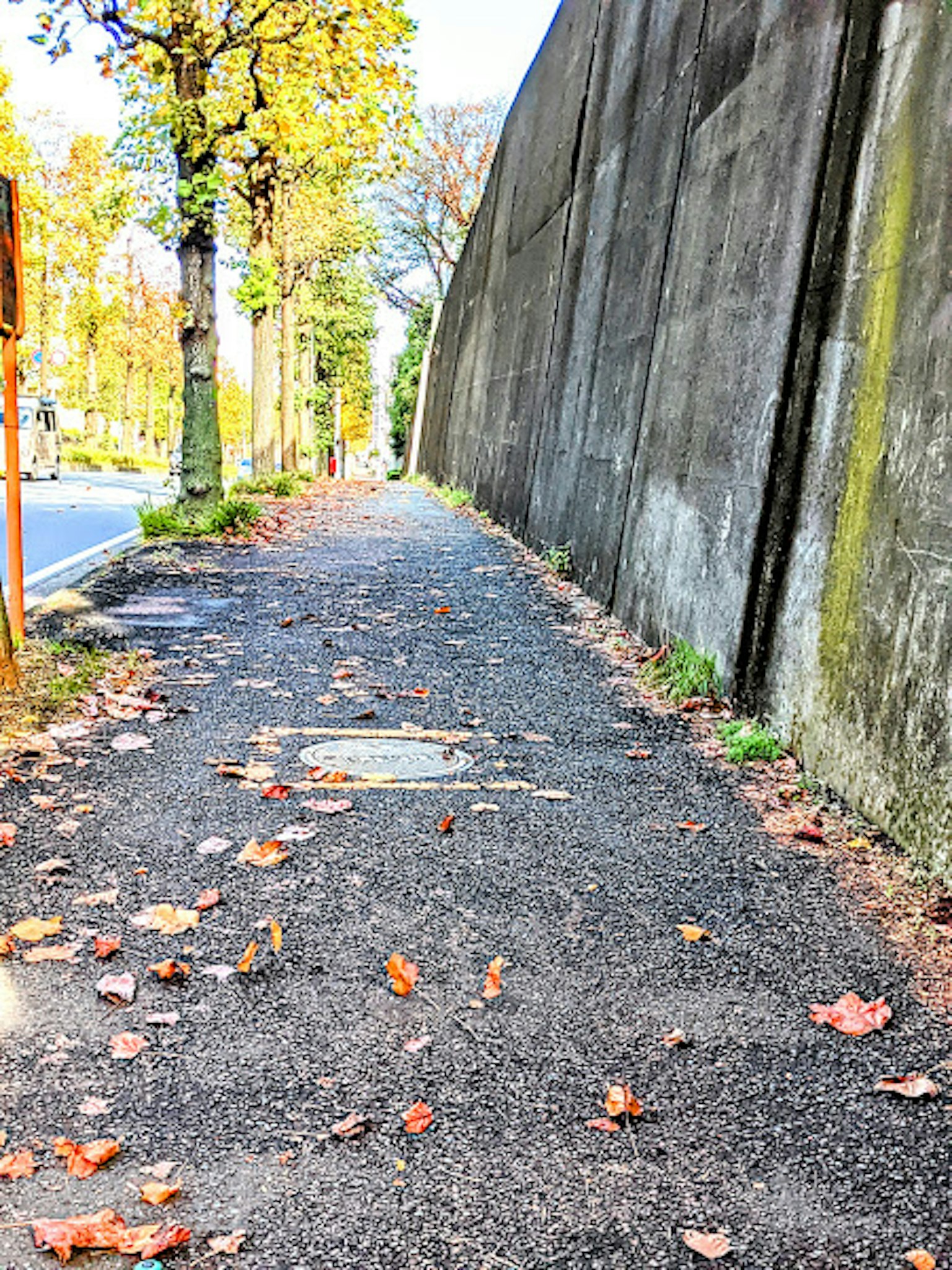 Trottoir pavé avec des feuilles d'automne éparpillées