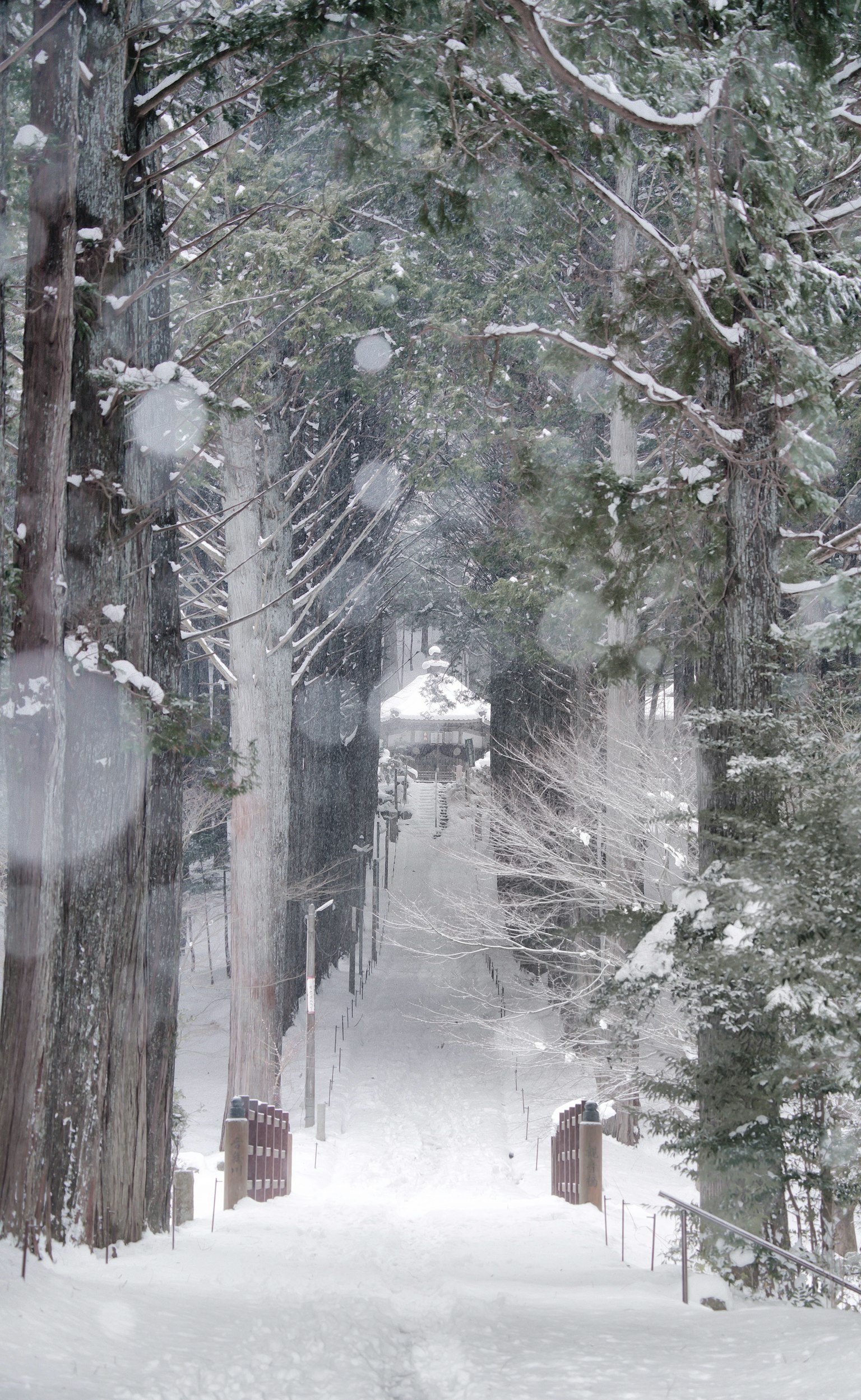 Sentiero forestale innevato con un rifugio in lontananza