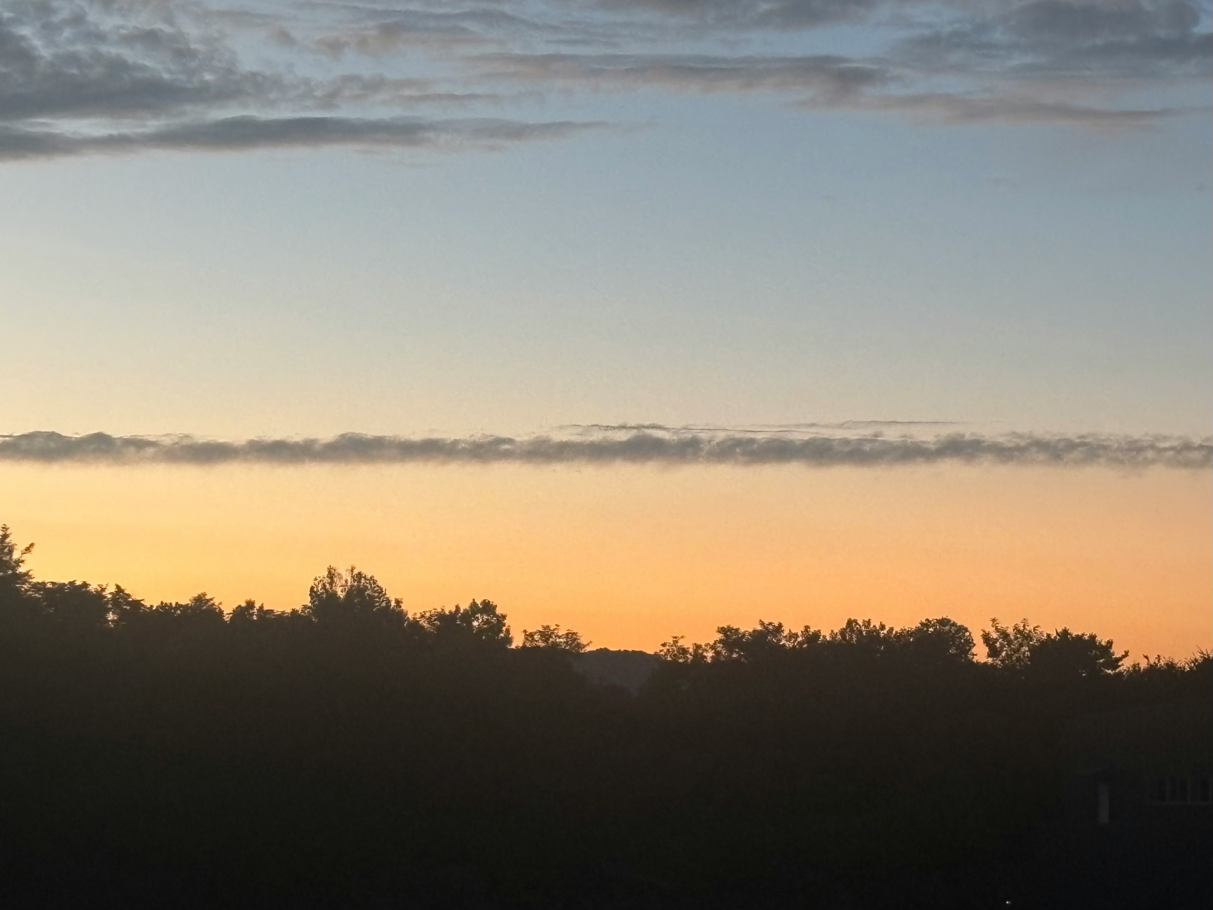 cielo al tramonto con foresta in silhouette