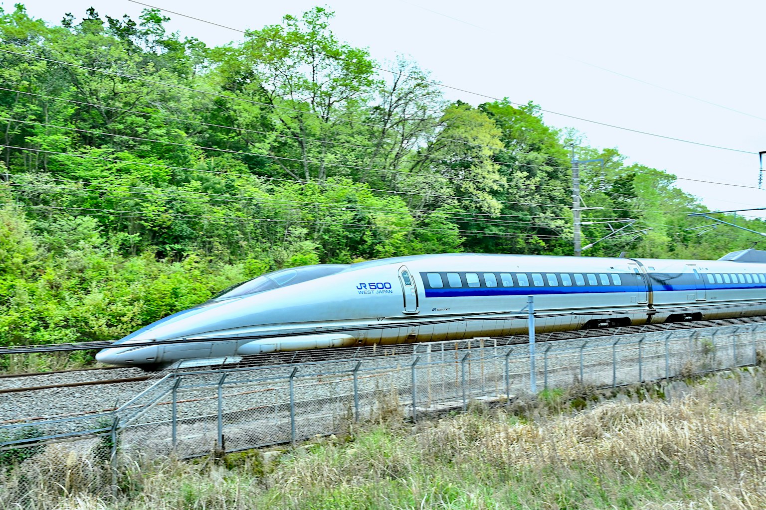 Un treno Shinkansen blu che attraversa una foresta verde