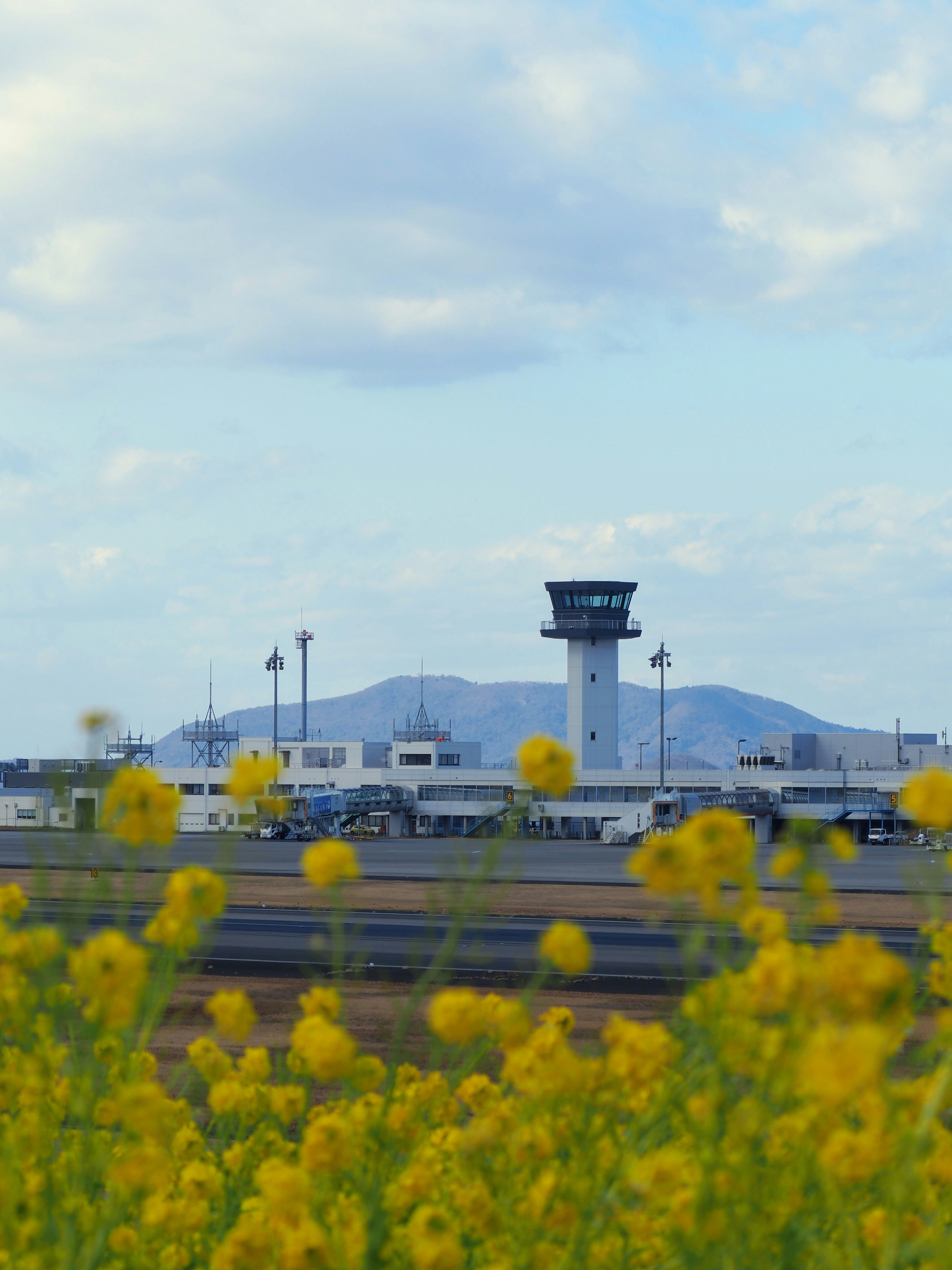 Airport terminal and control tower with blooming yellow flowers in the foreground
