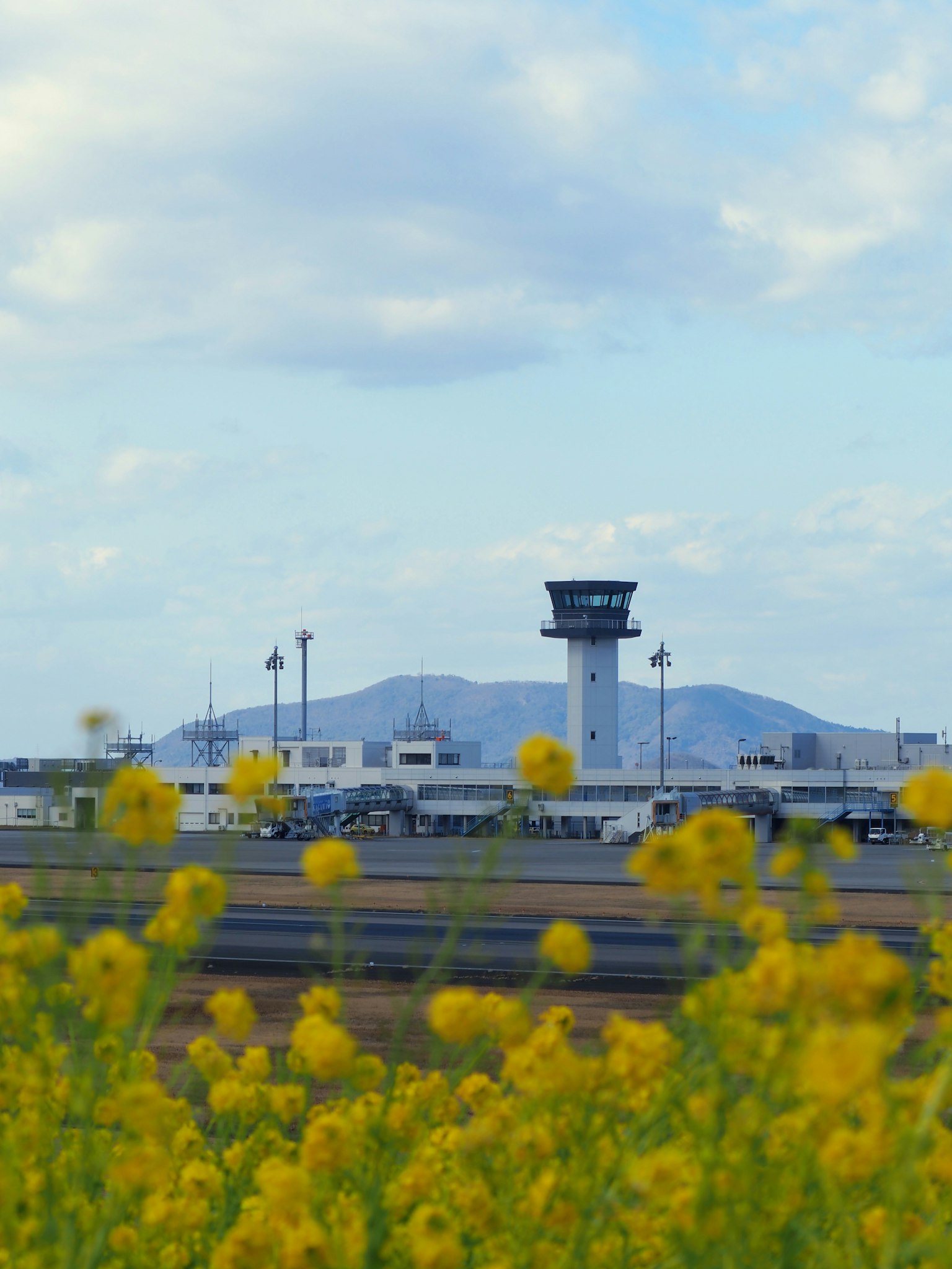 Torre del aeropuerto con flores amarillas en primer plano